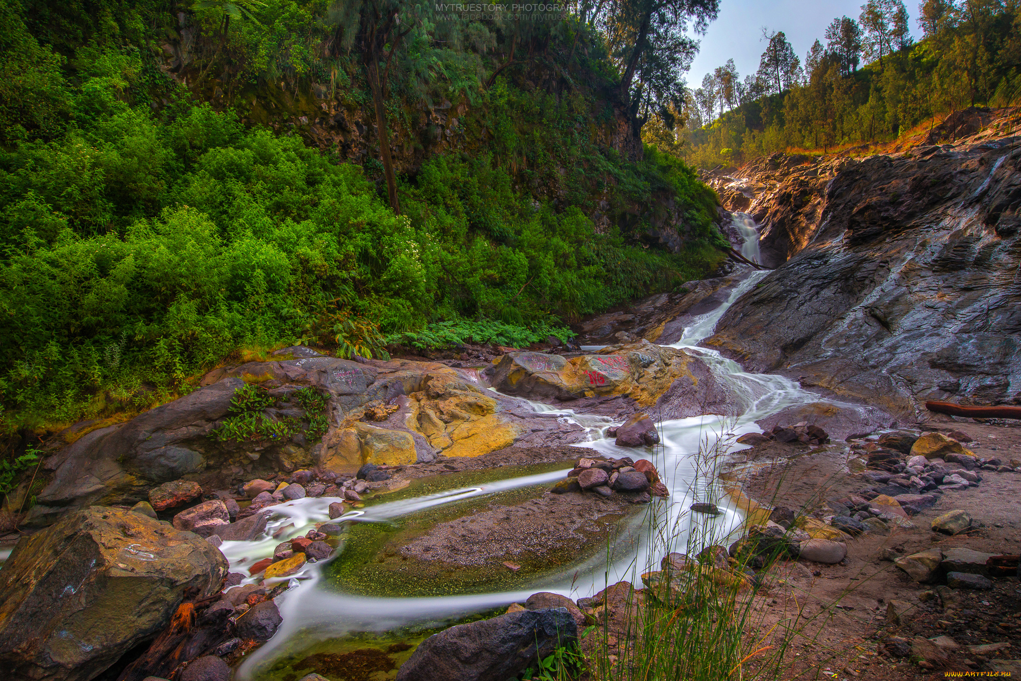 природа, реки, озера, лес, река