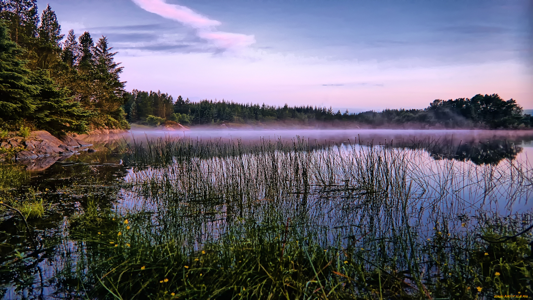 природа, реки, озера, река, лес