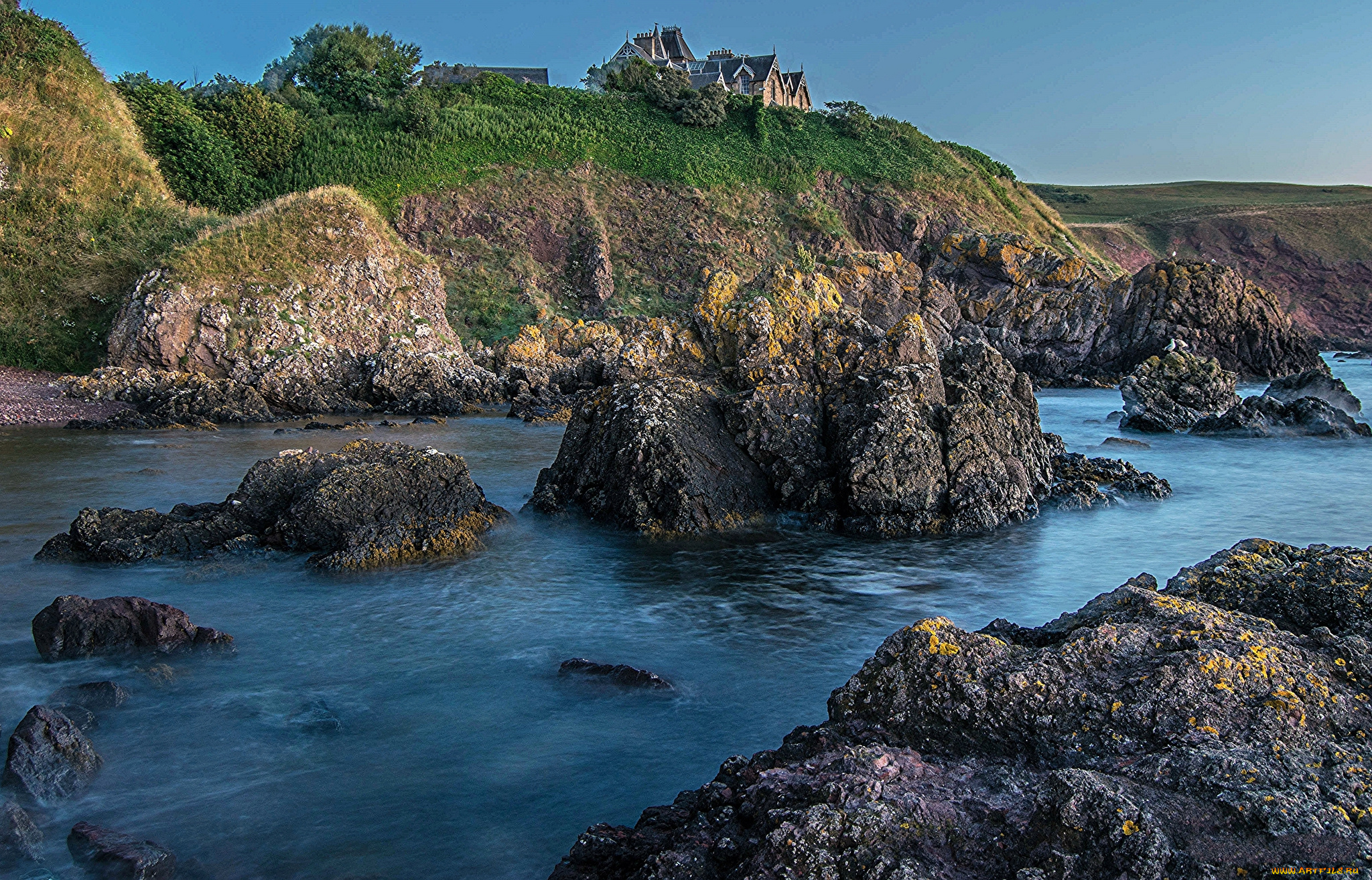 природа, реки, озера, лес, река