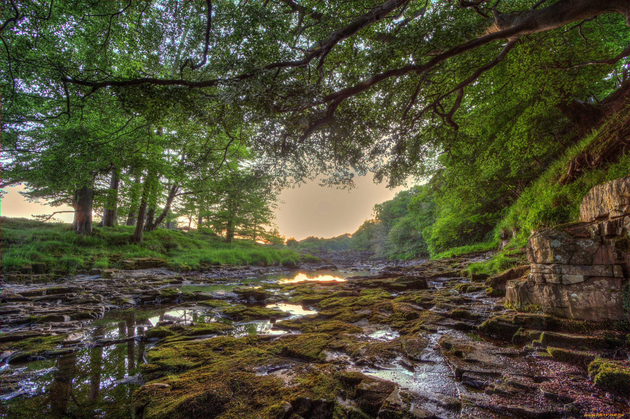 природа, реки, озера, река, лес