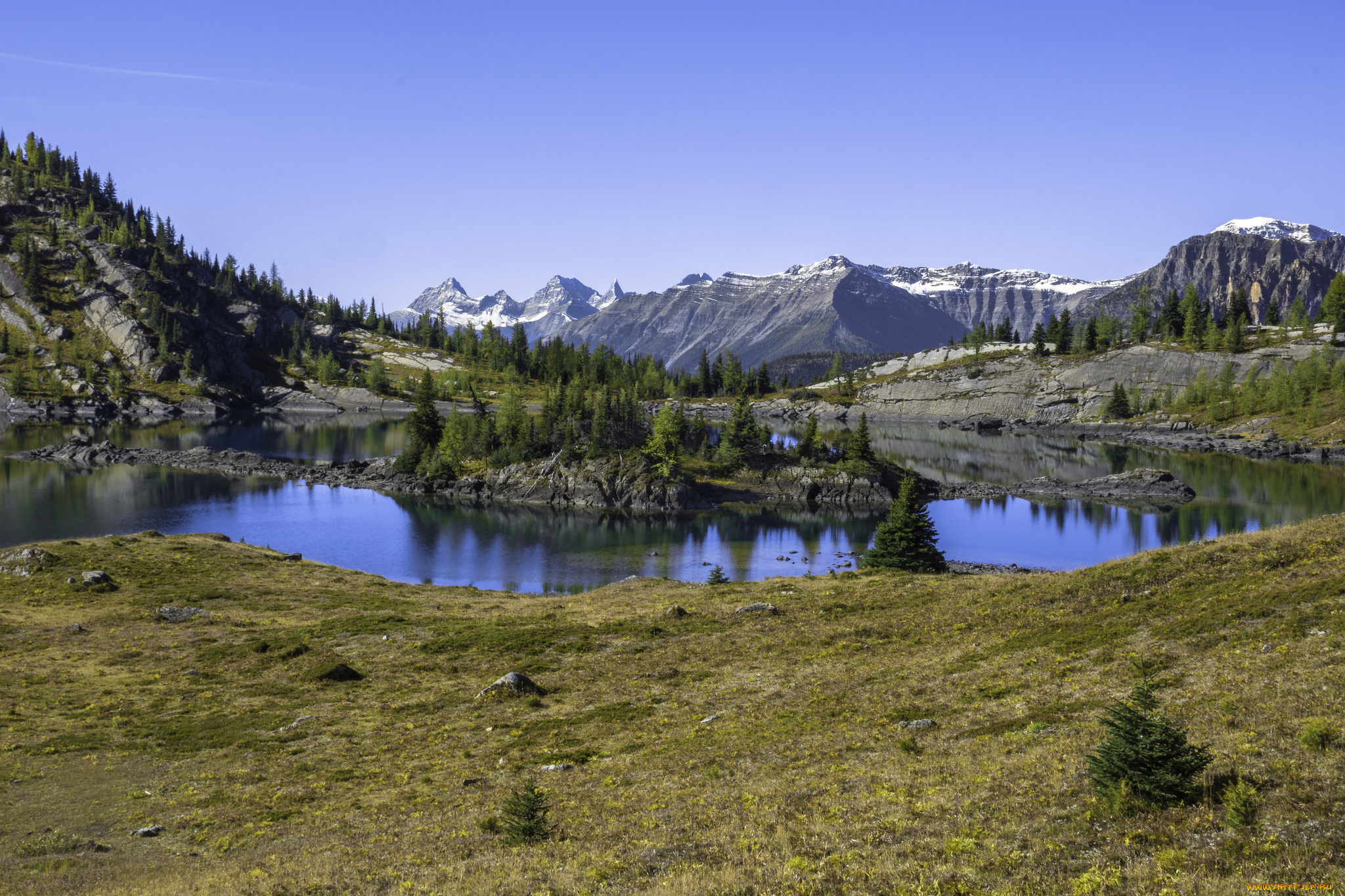 природа, реки, озера, лес, река