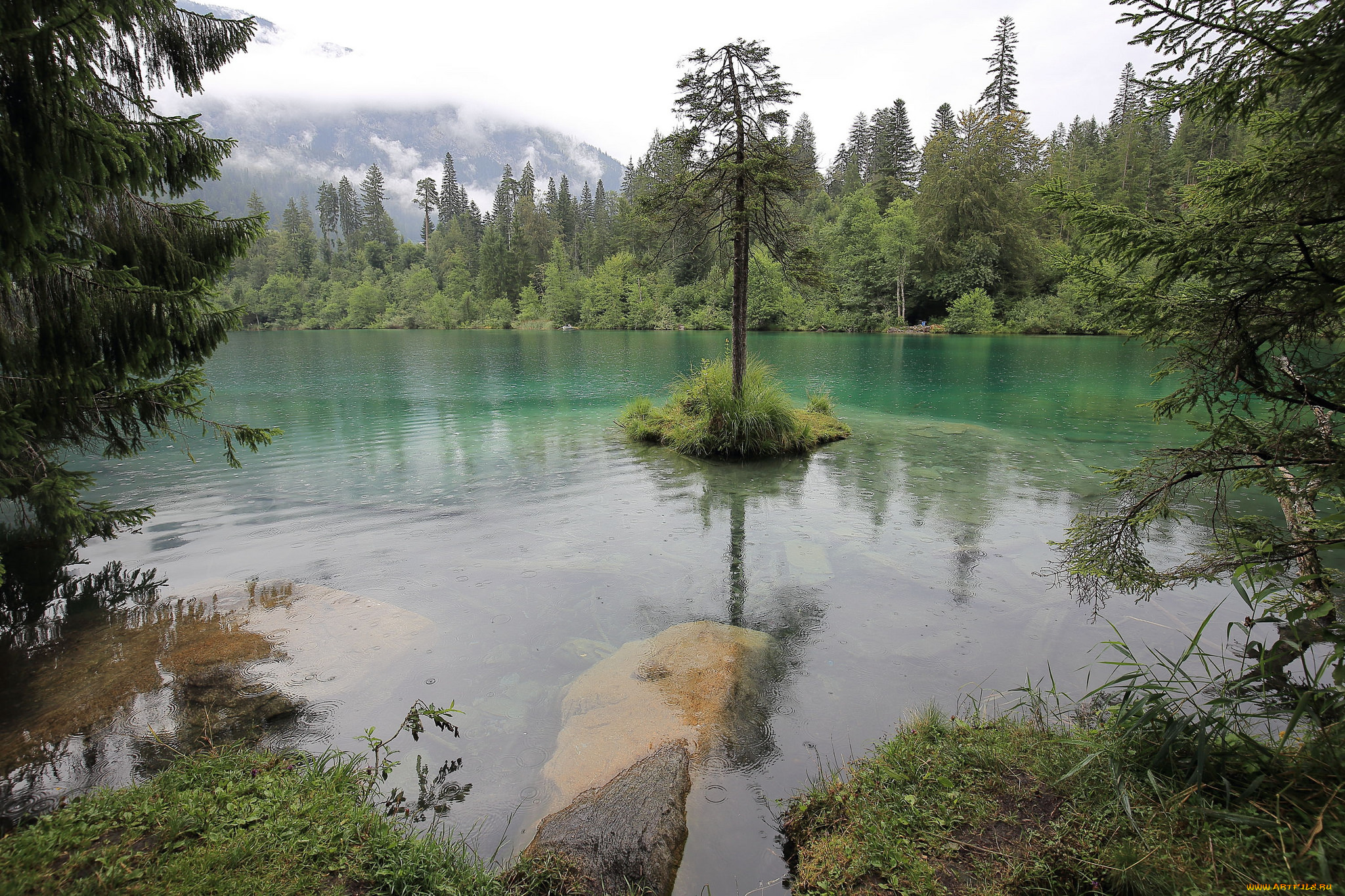 природа, реки, озера, лес, река