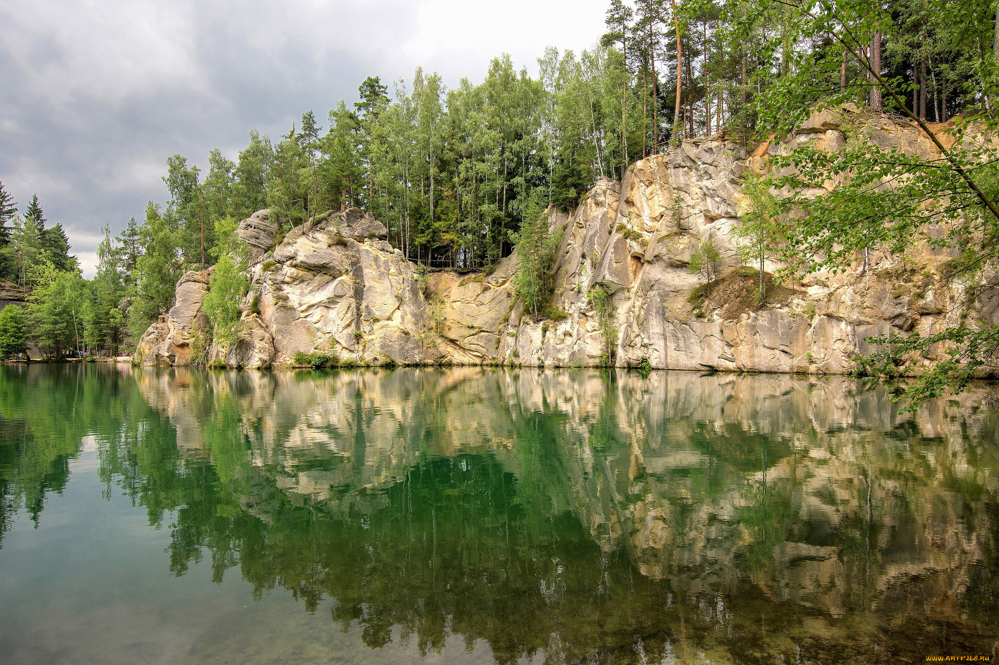 природа, реки, озера, река, лес