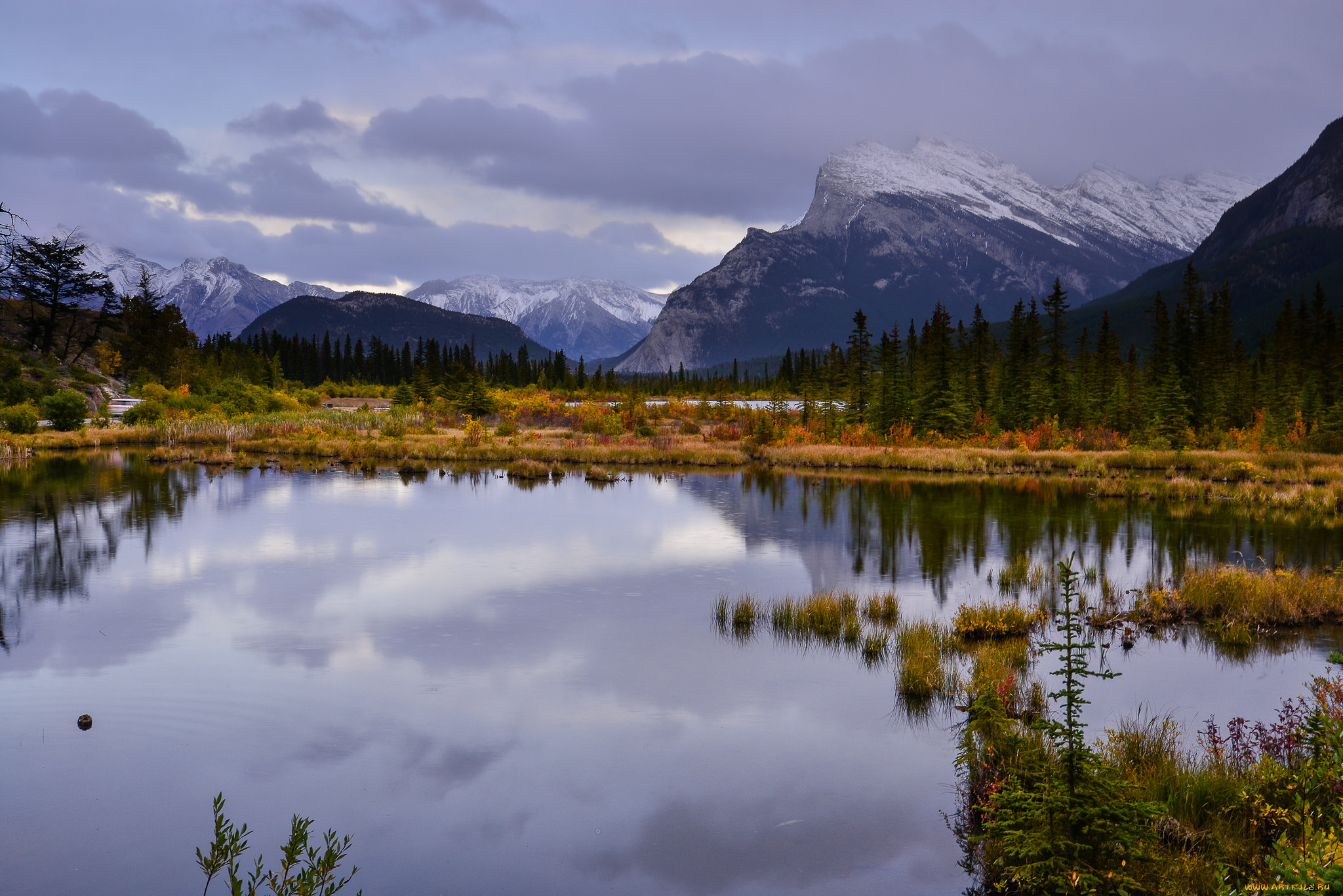 природа, реки, озера, река, лес