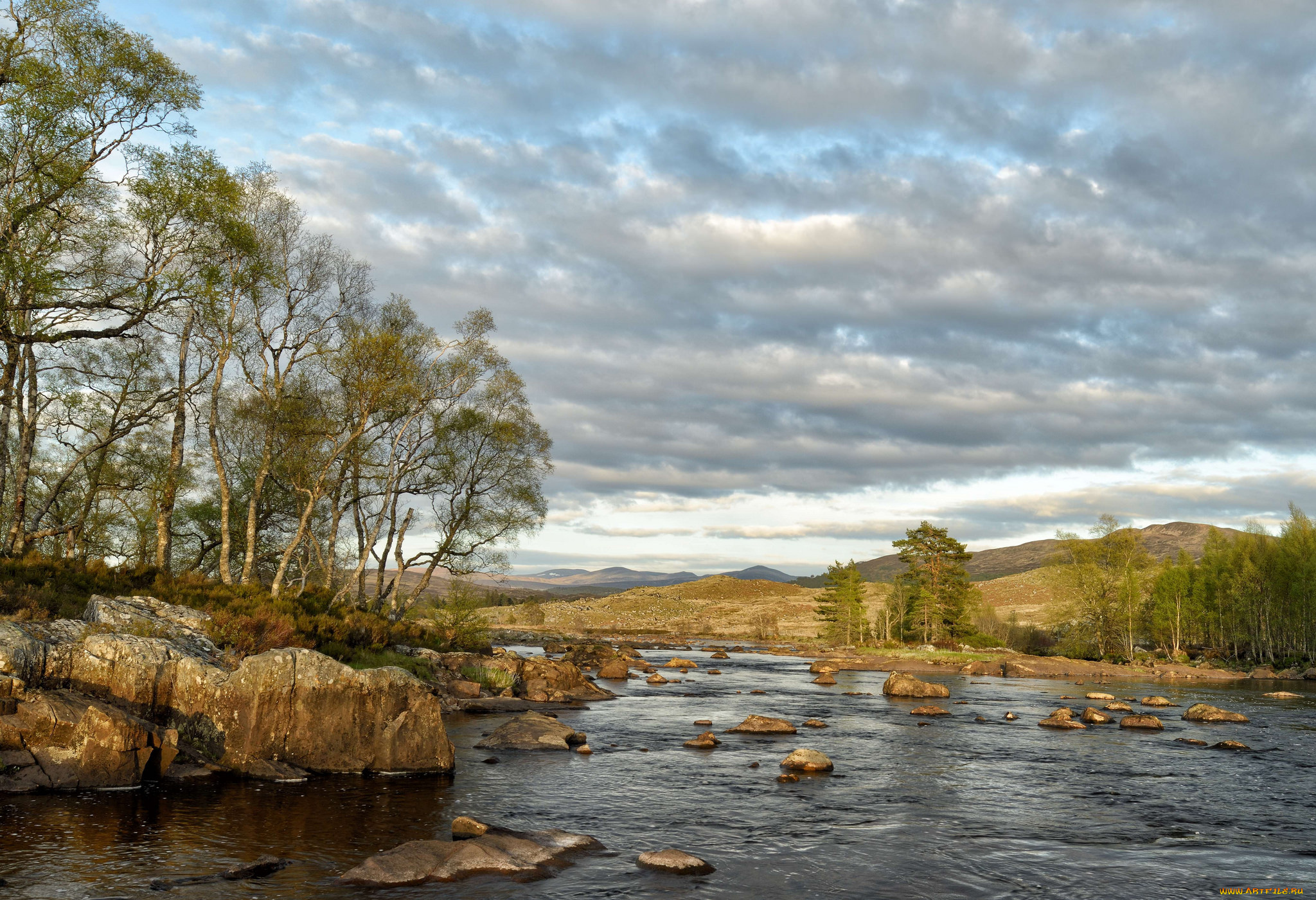 природа, реки, озера, лес, река