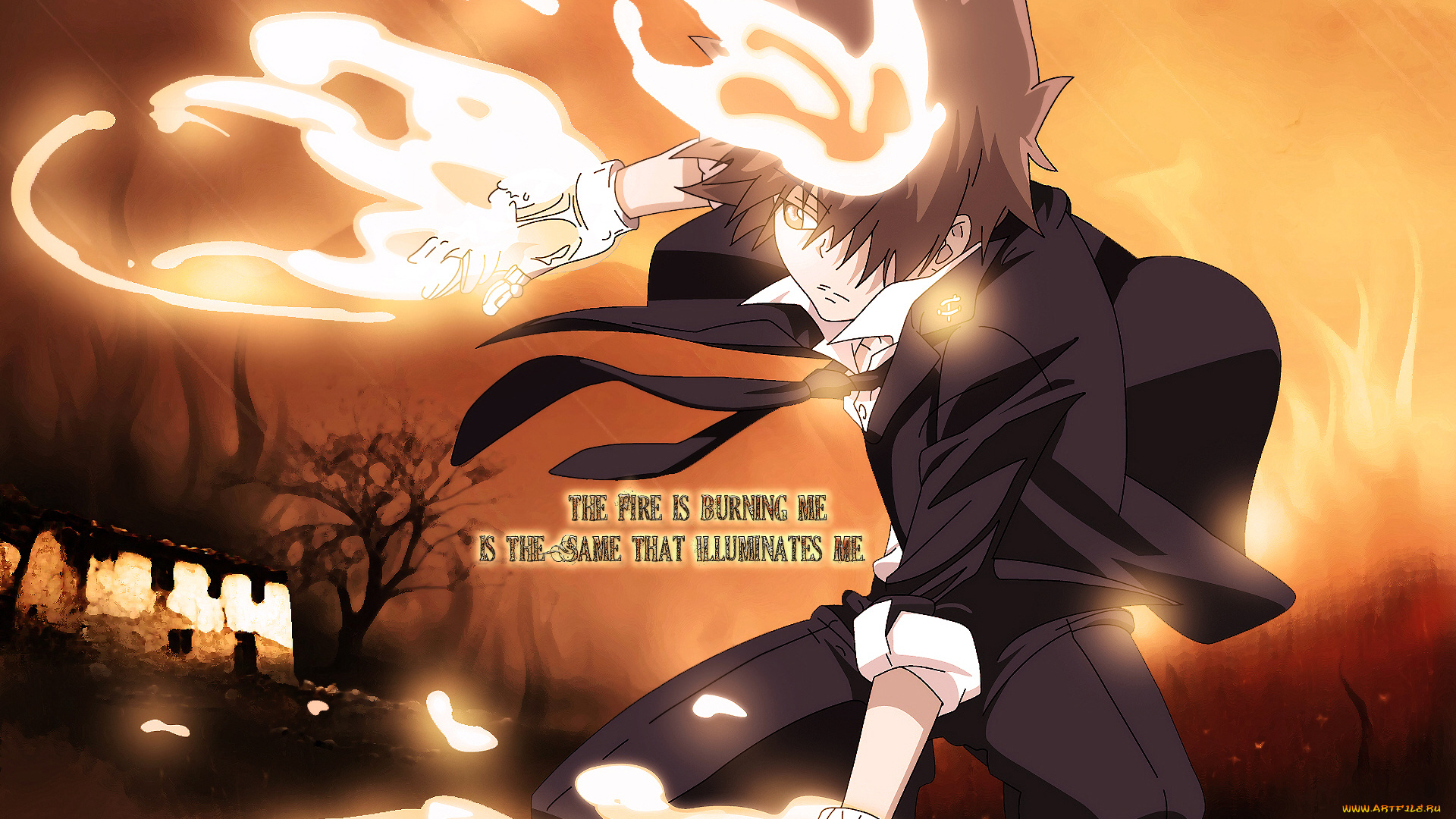 аниме, katekyo, hitman, reborn, савада