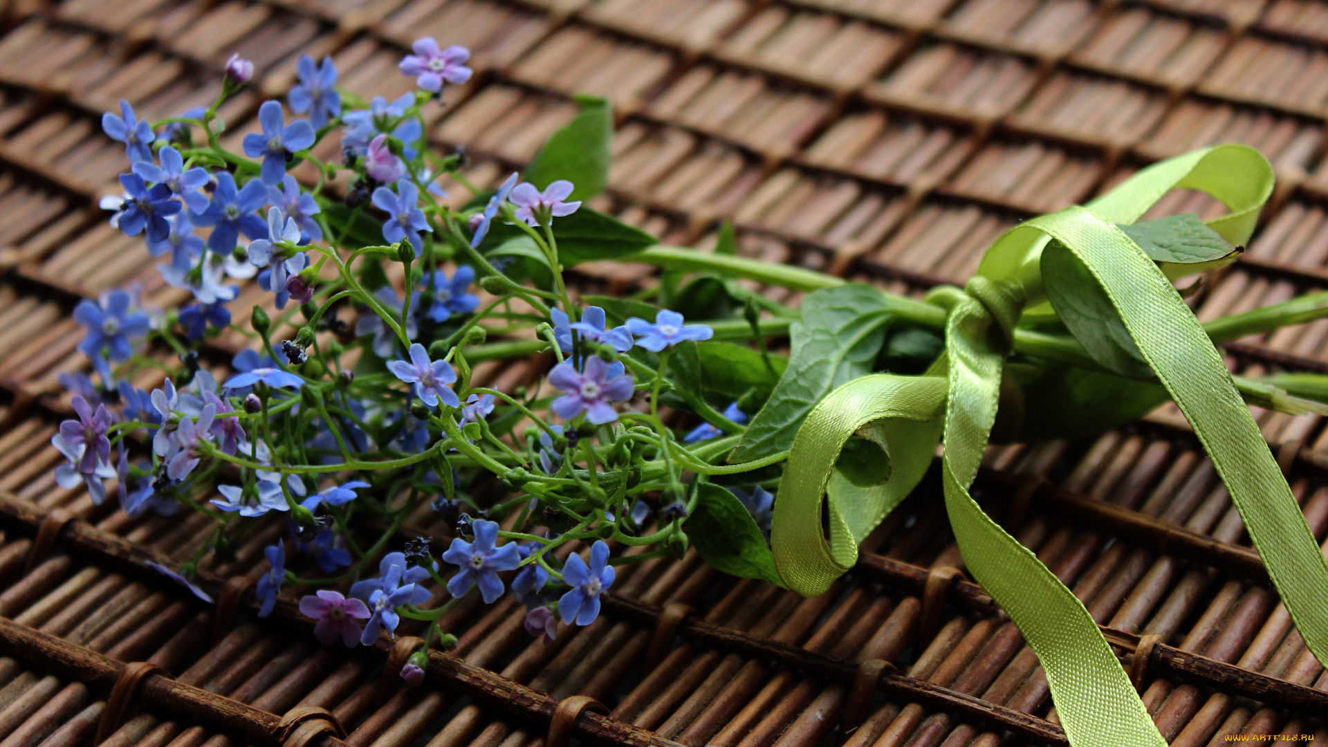 цветы, бруннера, букетик, весна, растения, флора