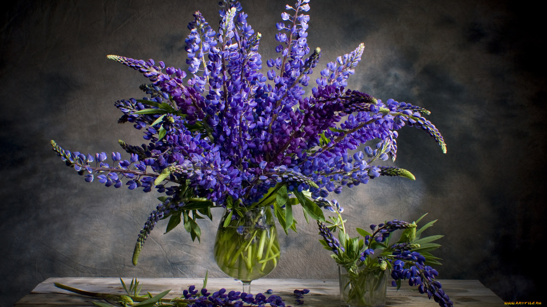 цветы, люпин, цветение, букет, ваза