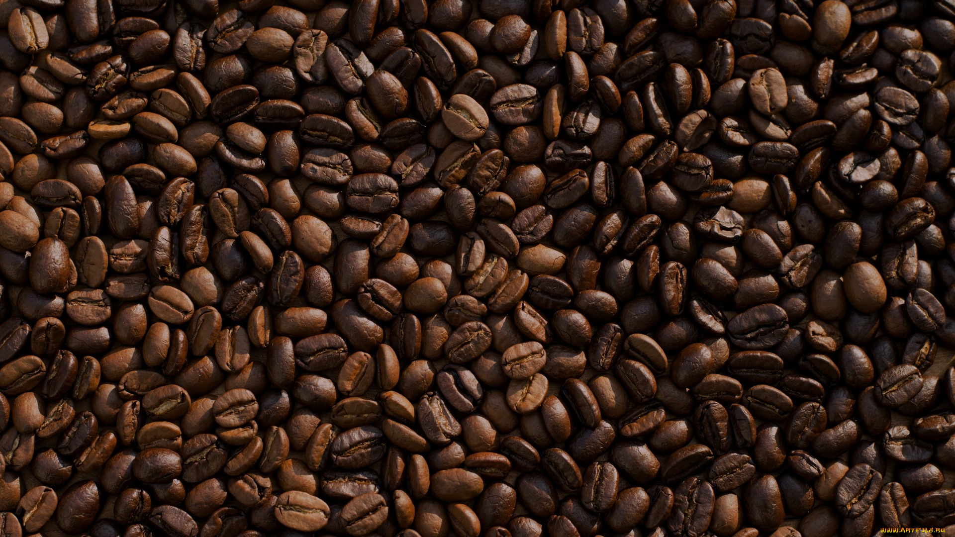 еда, кофе, , кофейные, зёрна, много, зерна