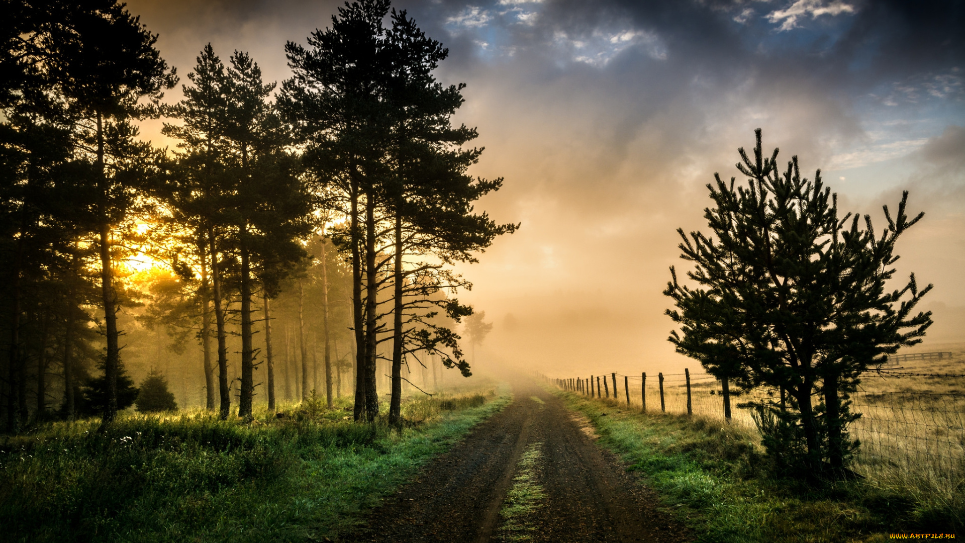 природа, дороги, простор