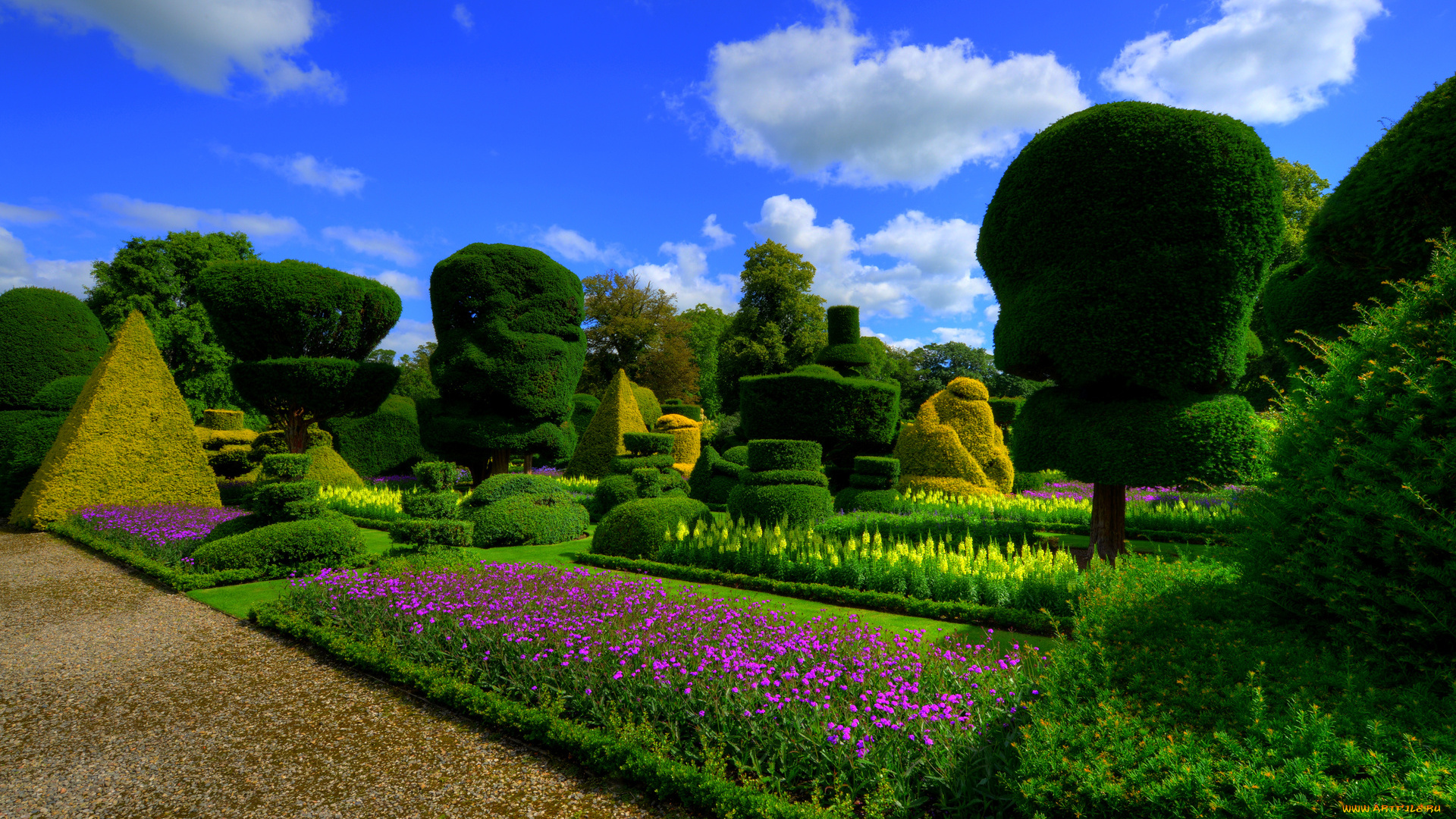 природа, парк, англия