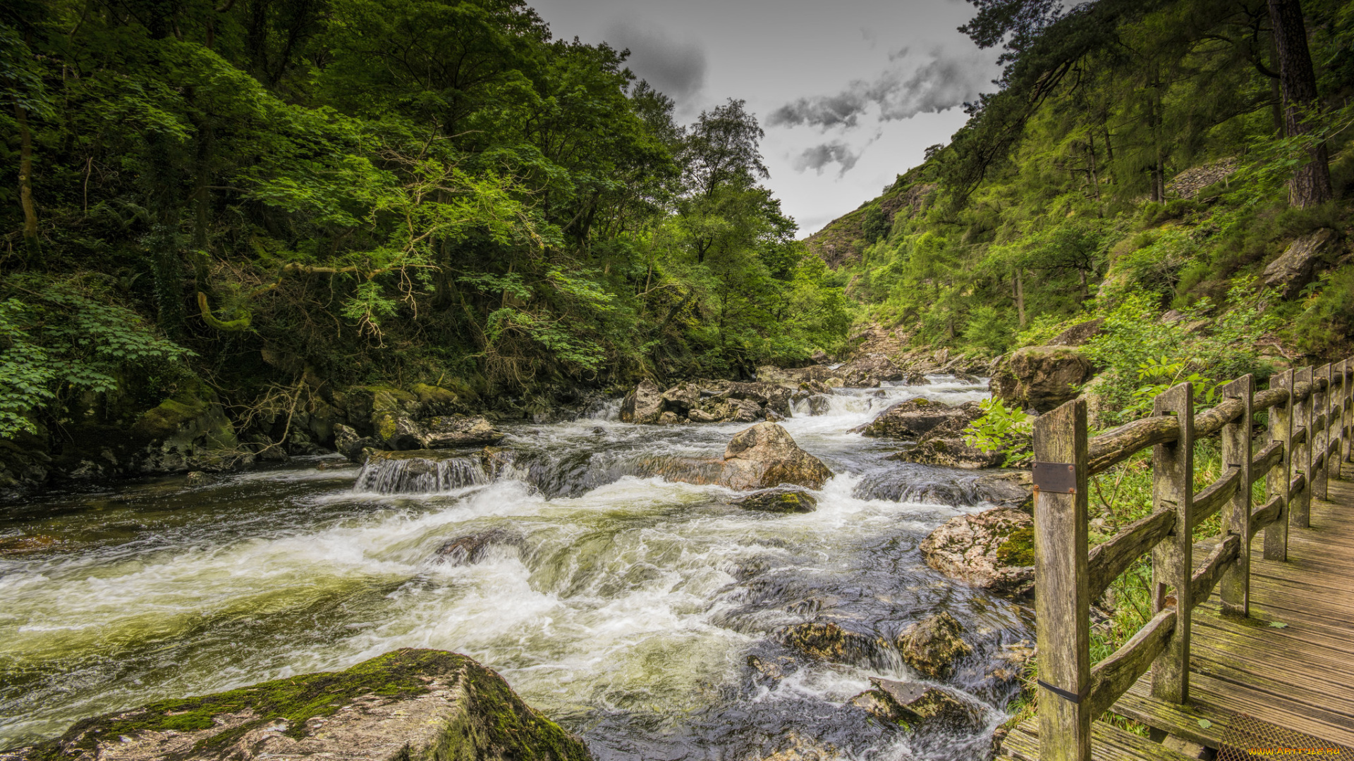 природа, реки, озера, простор