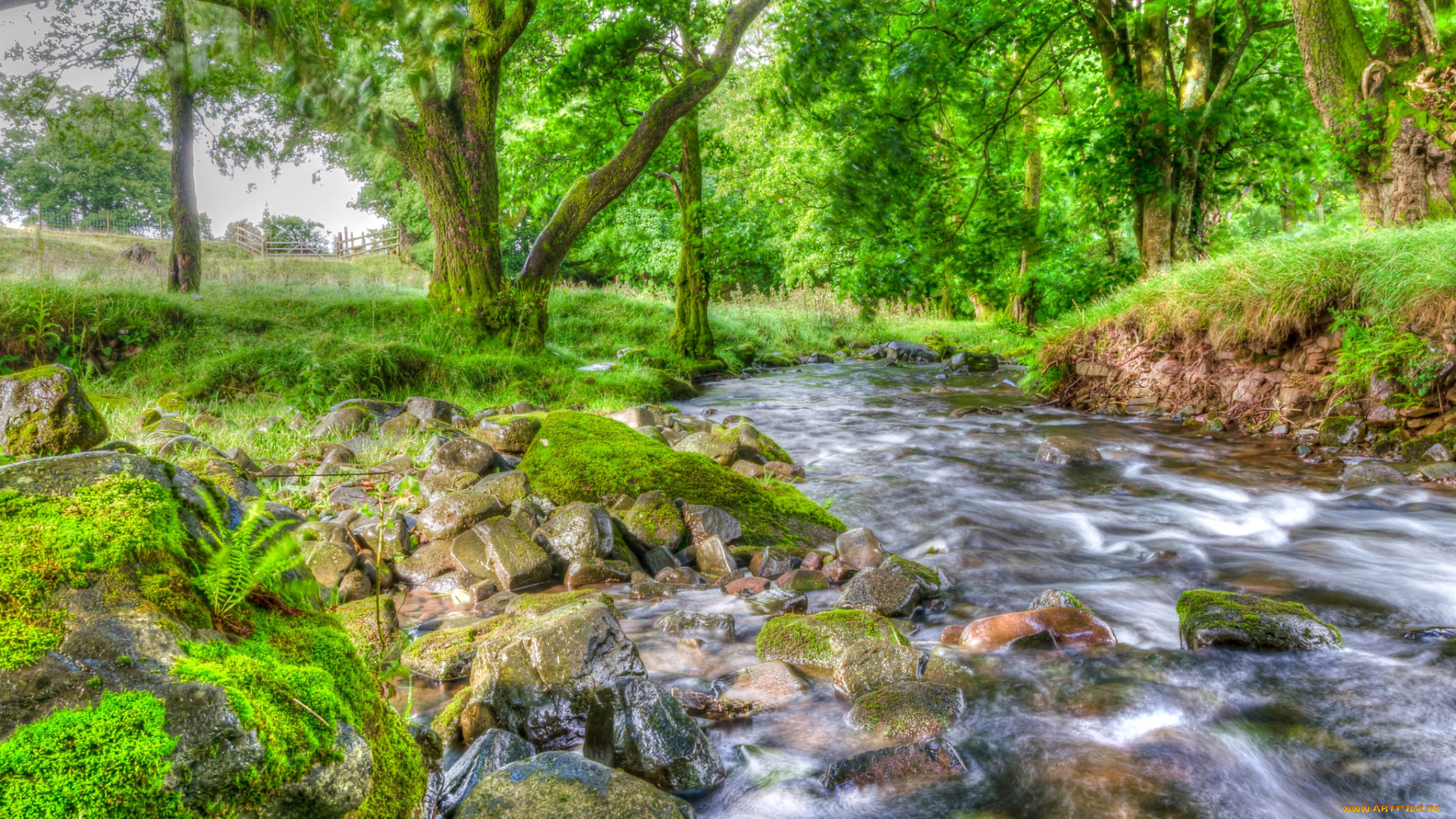 природа, реки, озера, простор