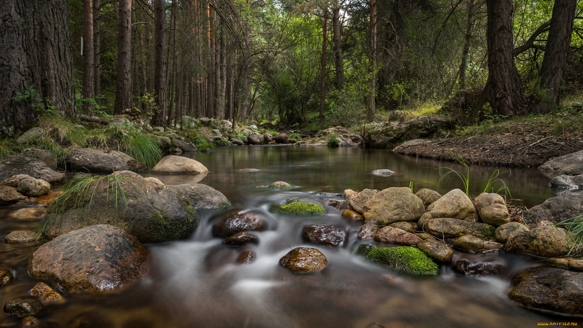 природа, реки, озера, простор