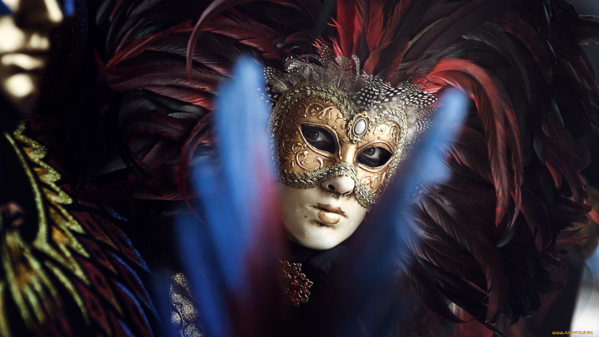 разное, маски, , карнавальные, костюмы, взгляд, карнавал, маска, перья
