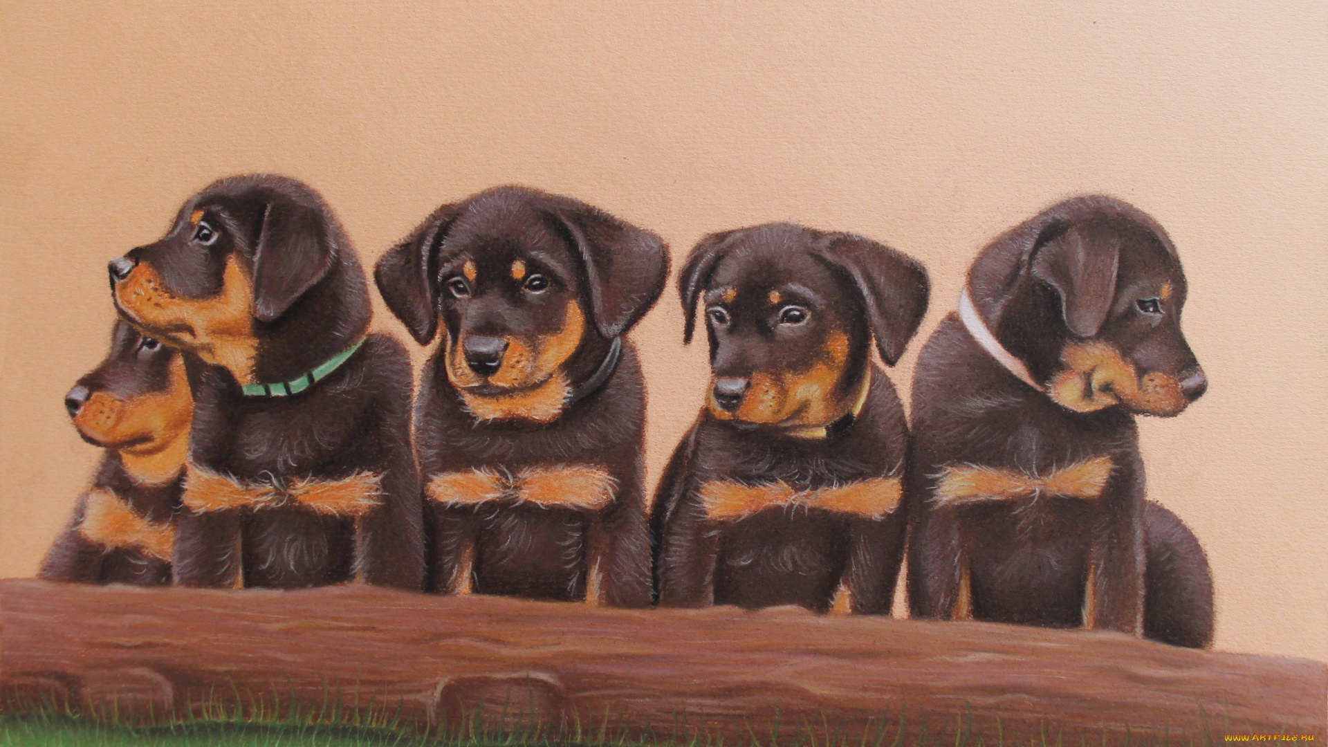 рисованное, животные, фон, щенки