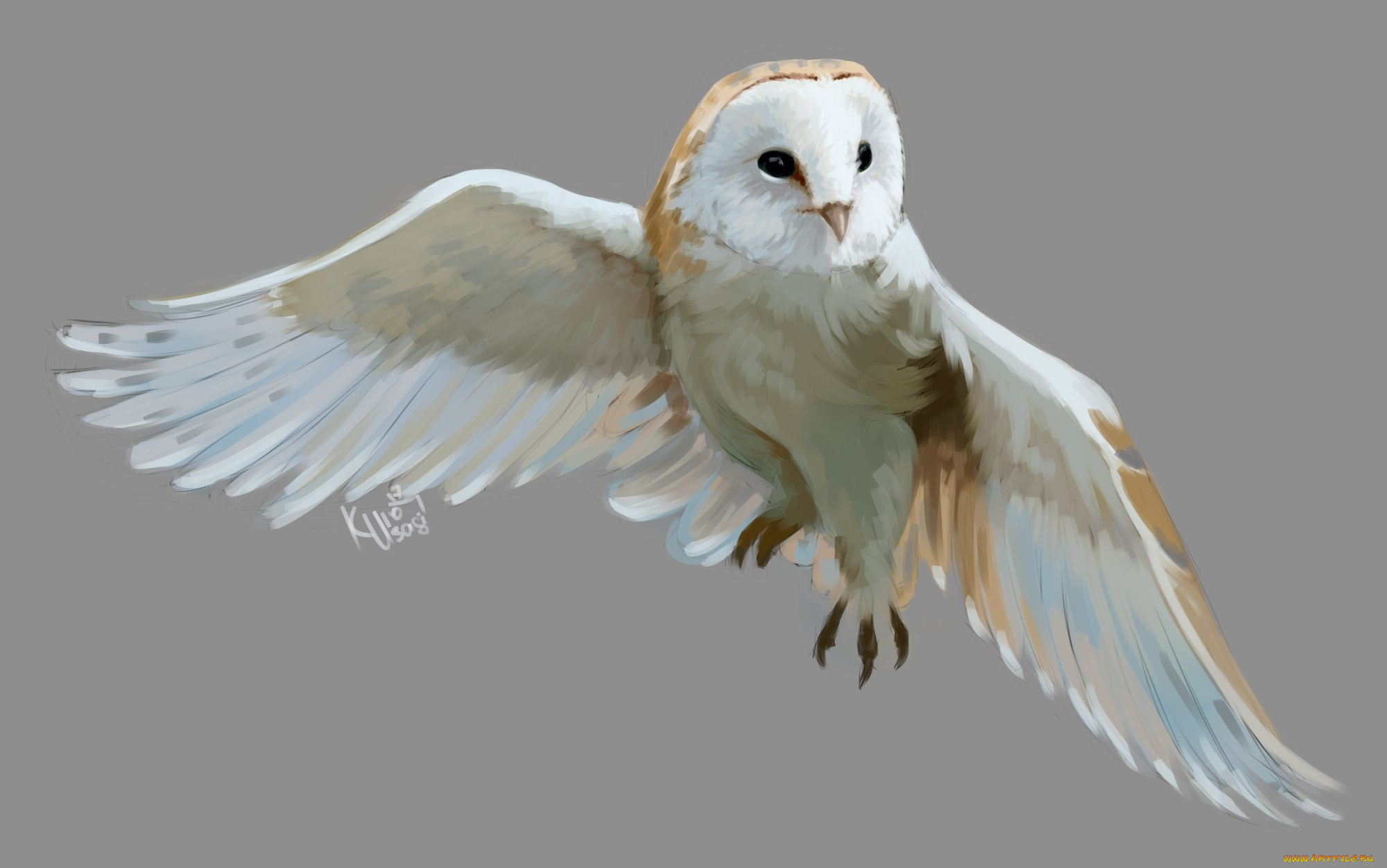 рисованное, животные, , птицы, , совы, , филины, сова, птица, арт, полёт
