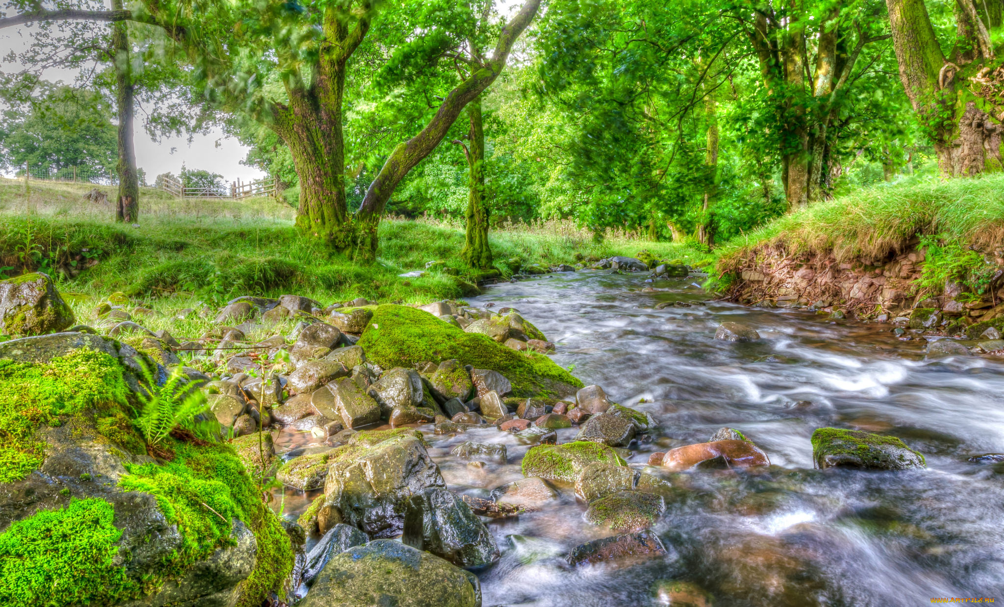 природа, реки, озера, простор