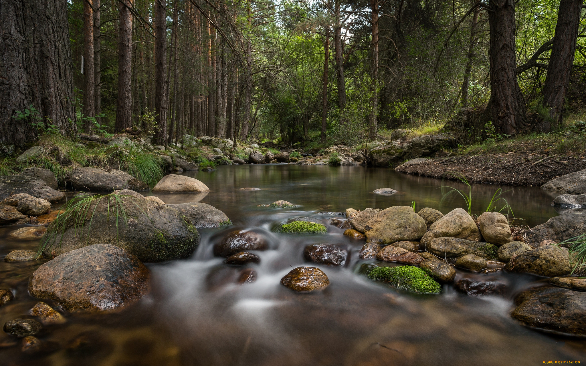 природа, реки, озера, простор