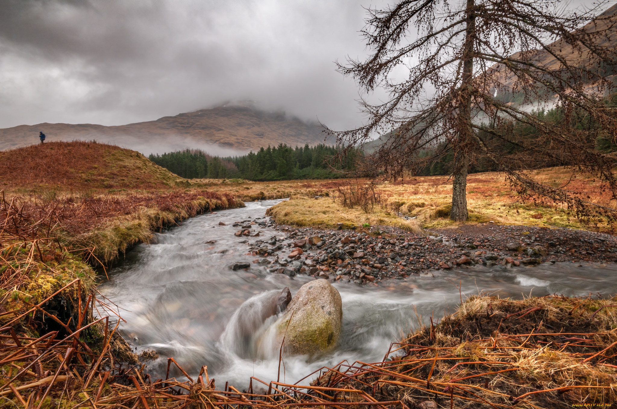 природа, реки, озера, простор