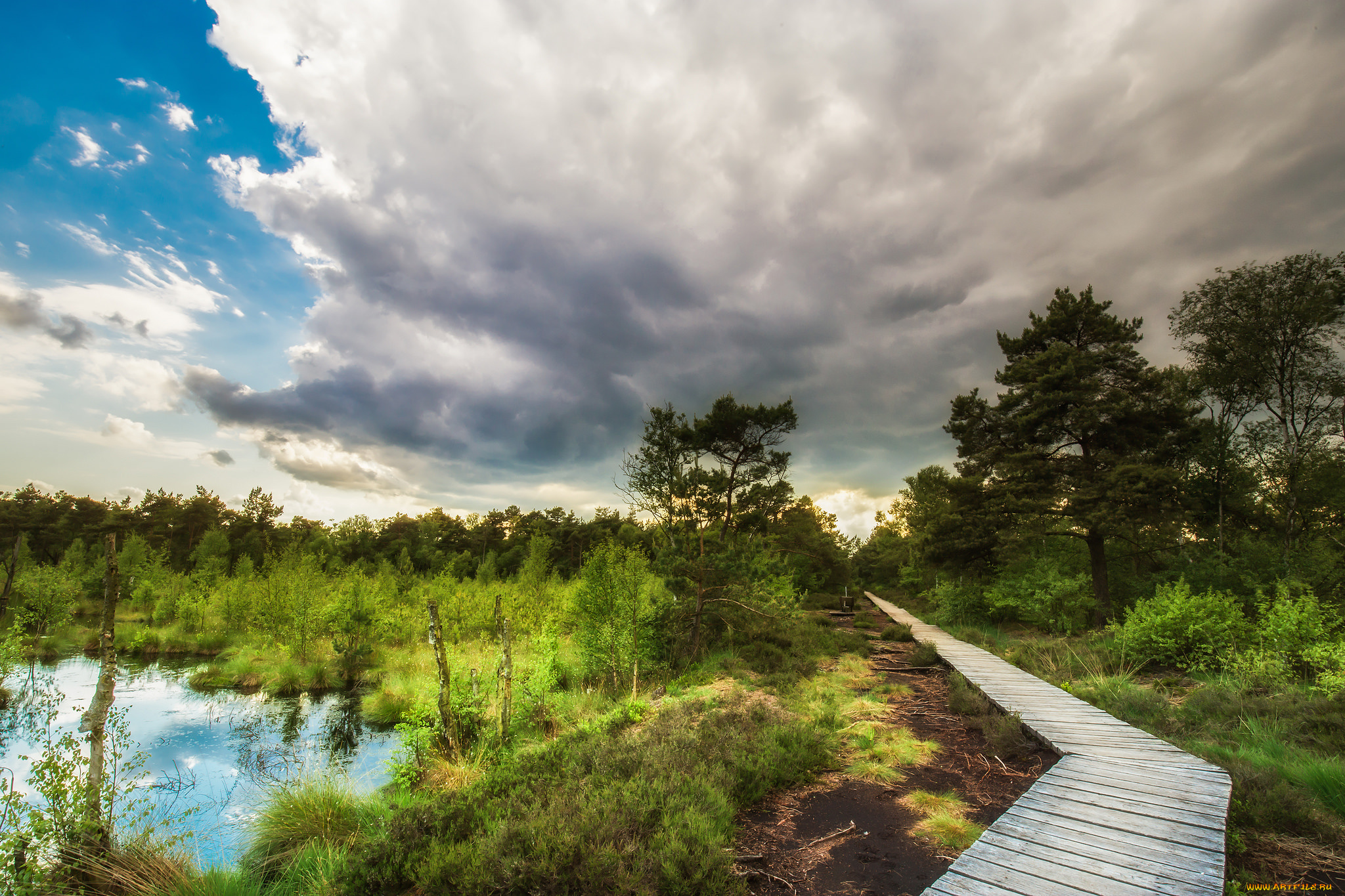 природа, дороги, простор