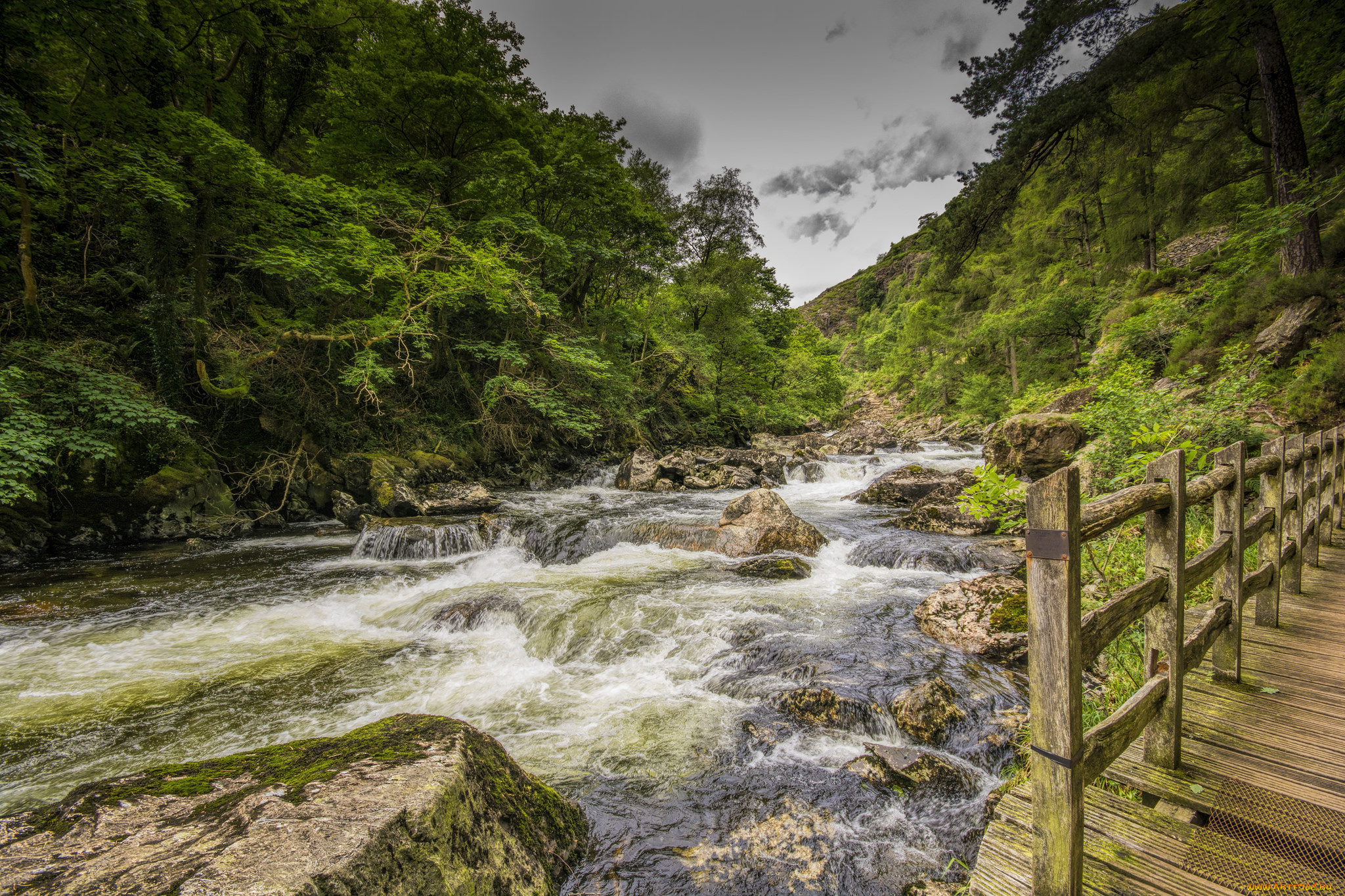 природа, реки, озера, простор