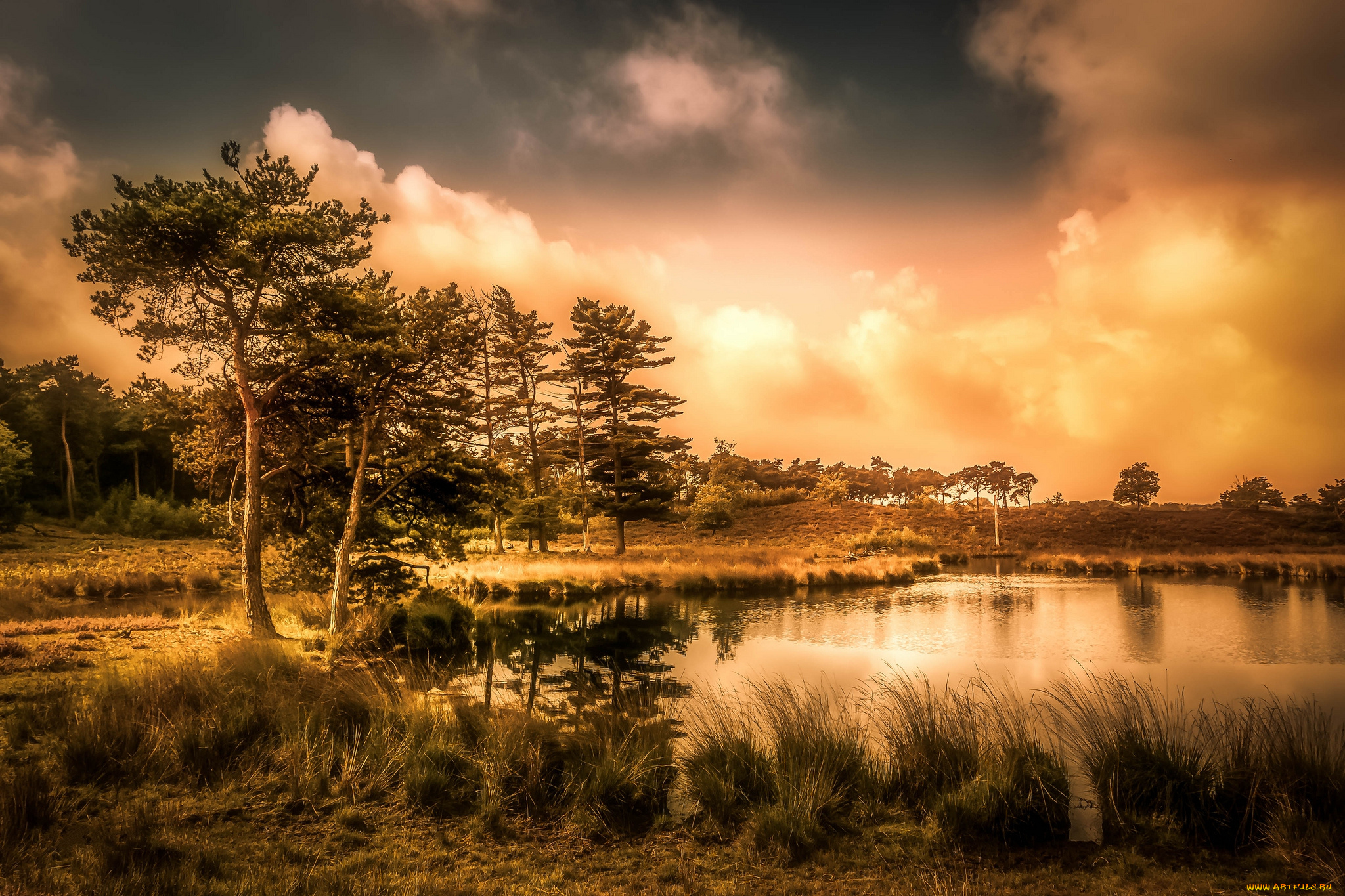 природа, восходы, закаты, простор