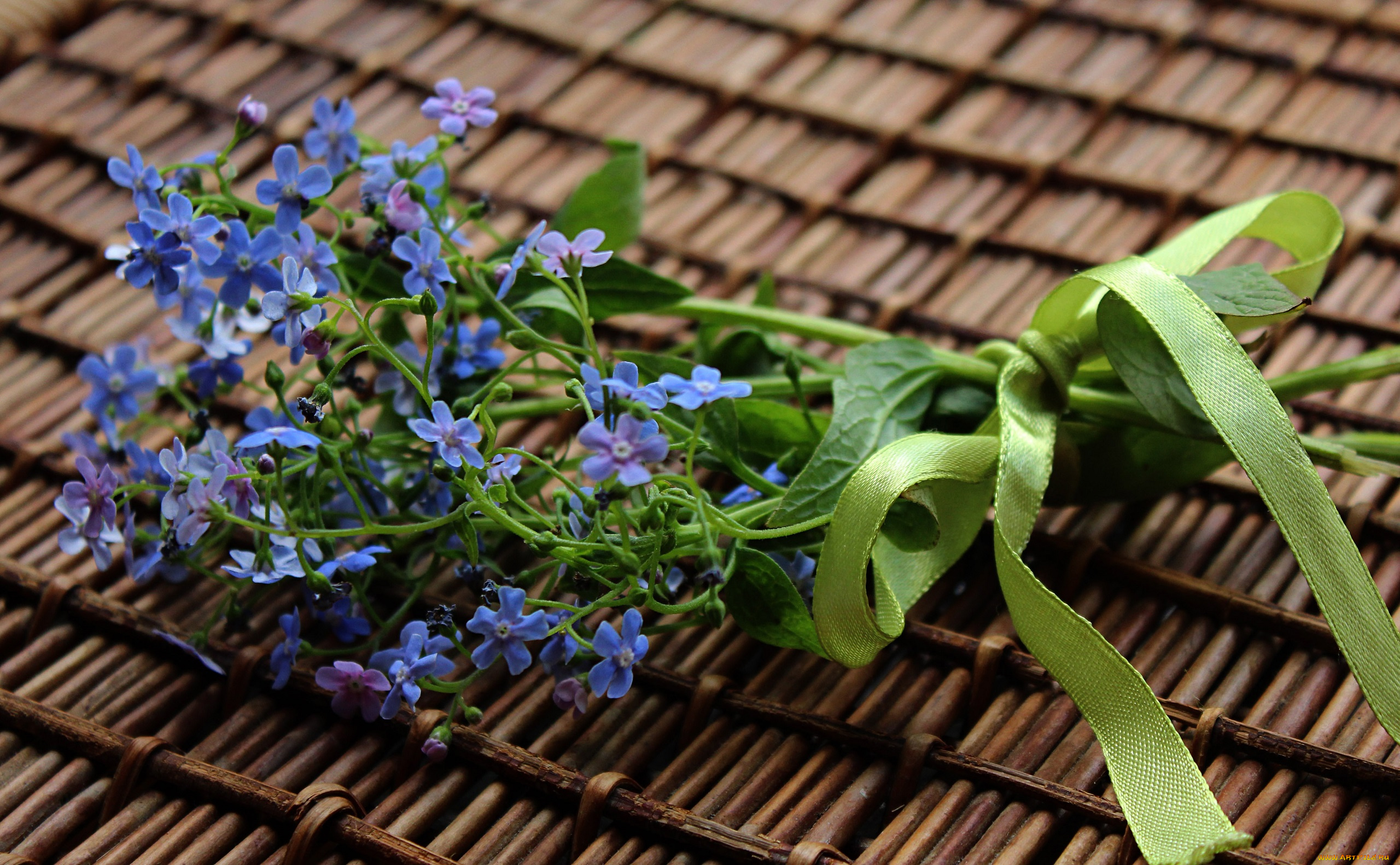 цветы, бруннера, букетик, весна, растения, флора