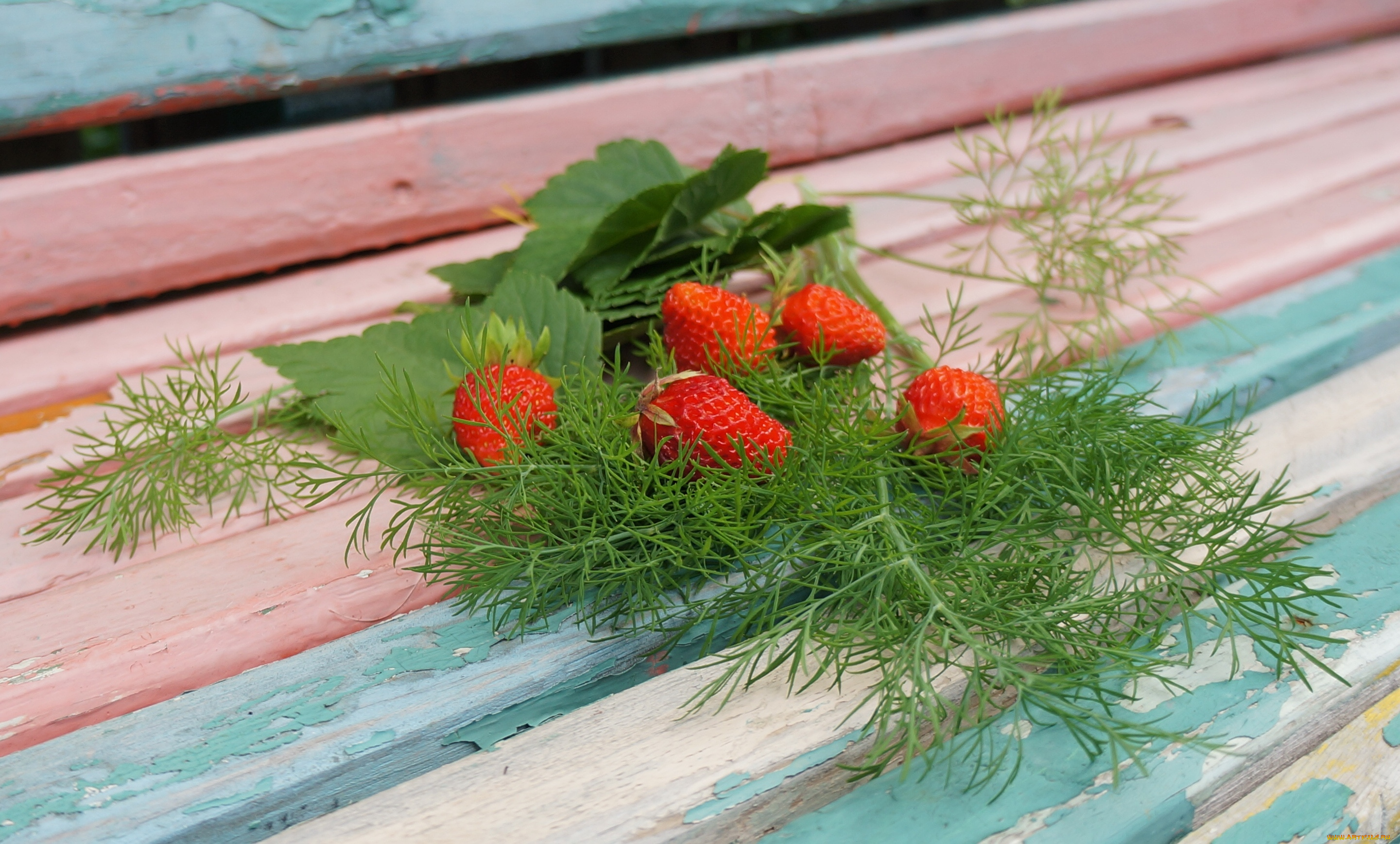 еда, клубника, , земляника, листья, укроп