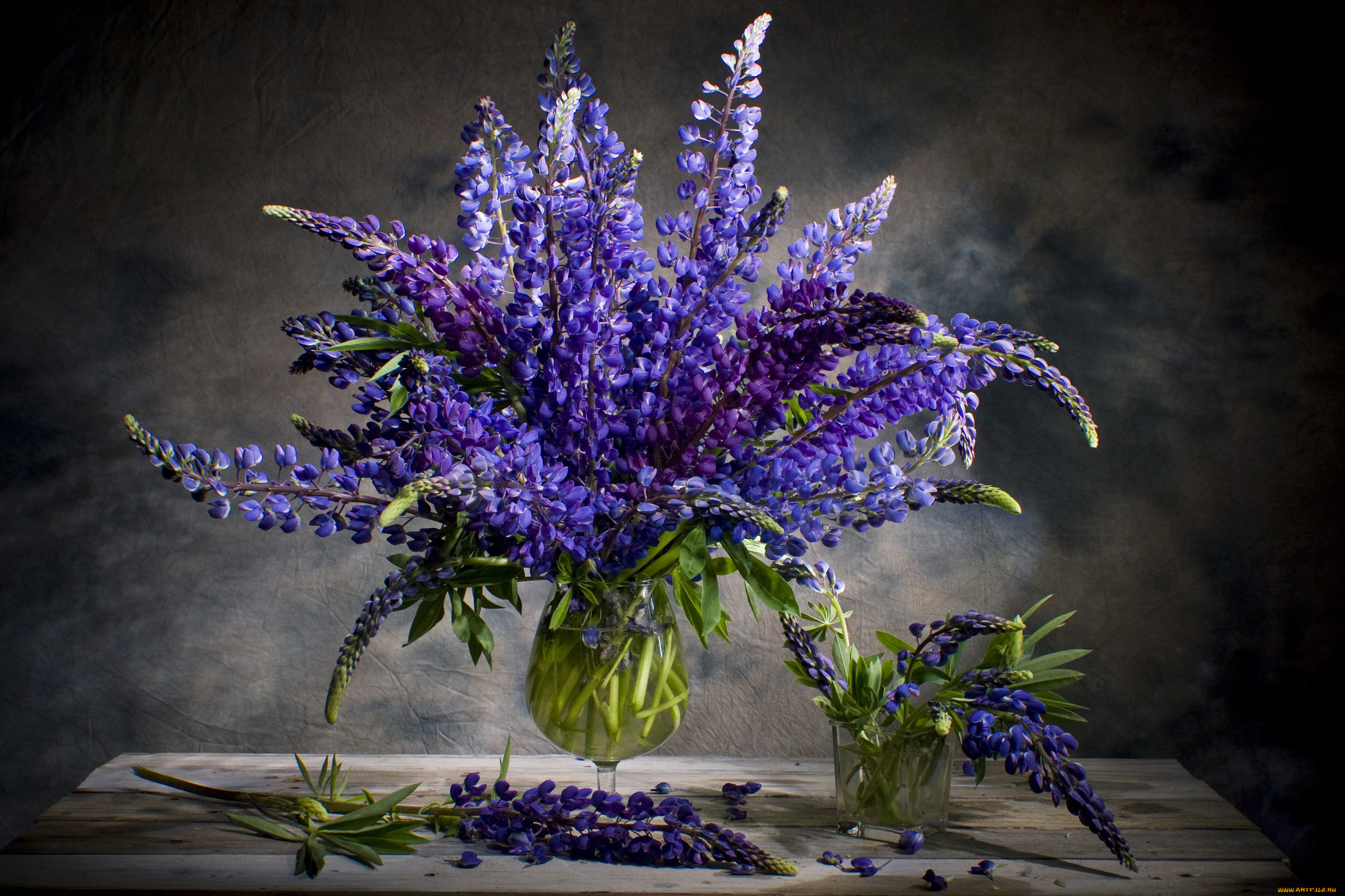 цветы, люпин, цветение, букет, ваза