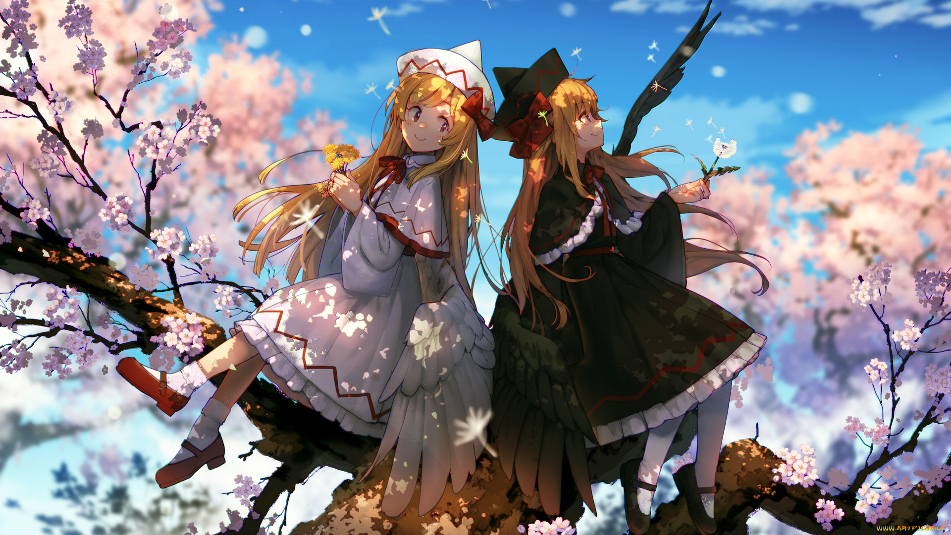 аниме, touhou, девушкb