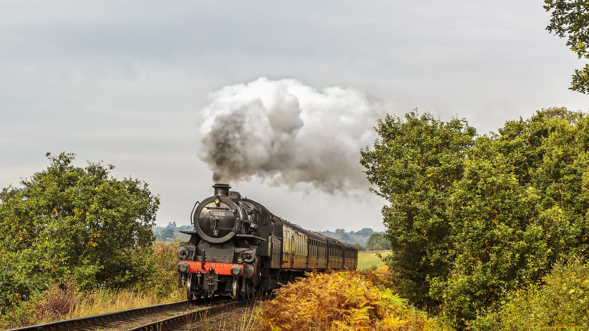 техника, паровозы, состав, локомотив