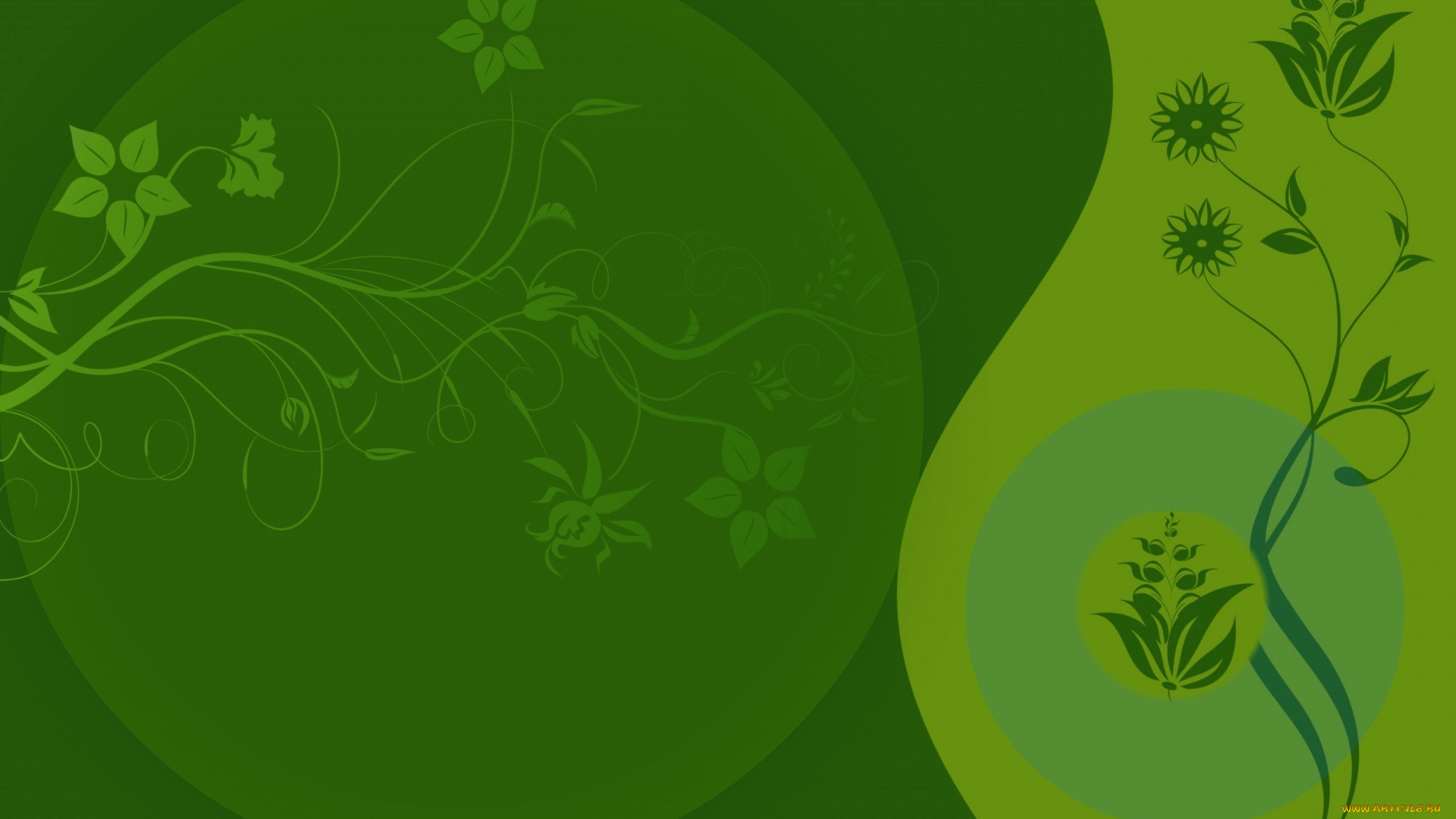 векторная, графика, цветы, , flowers, цвет, фон, узор