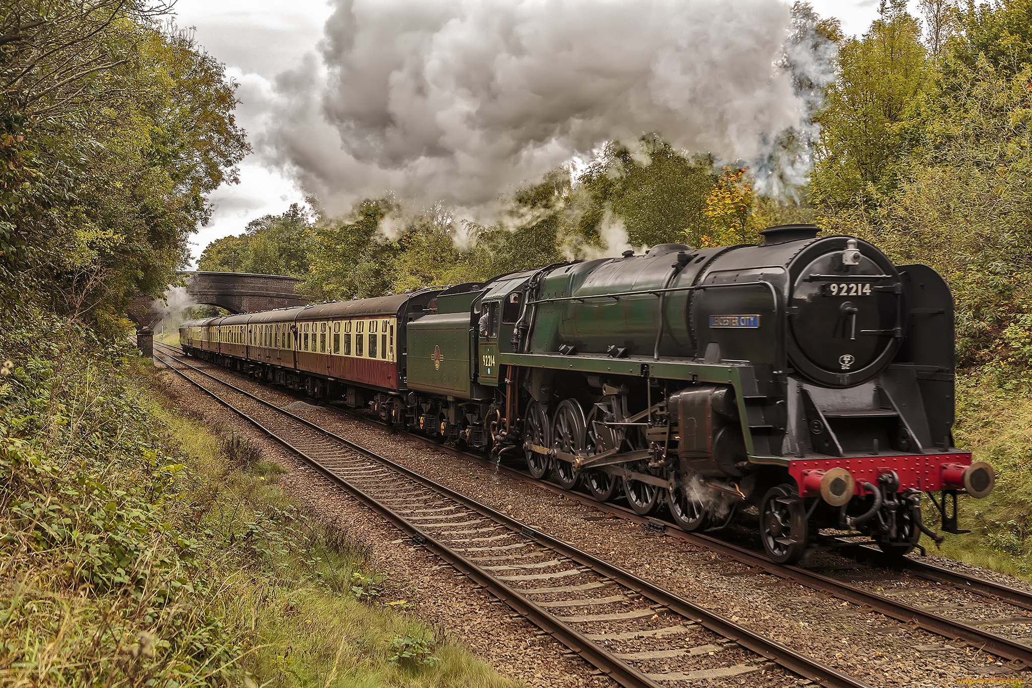 техника, паровозы, состав, локомотив