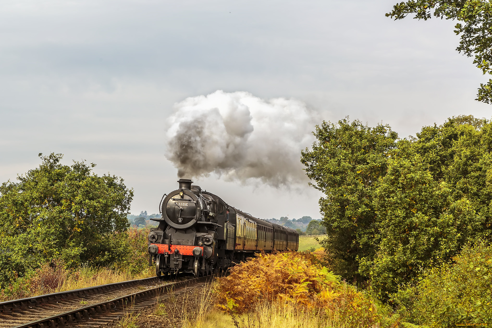 техника, паровозы, состав, локомотив