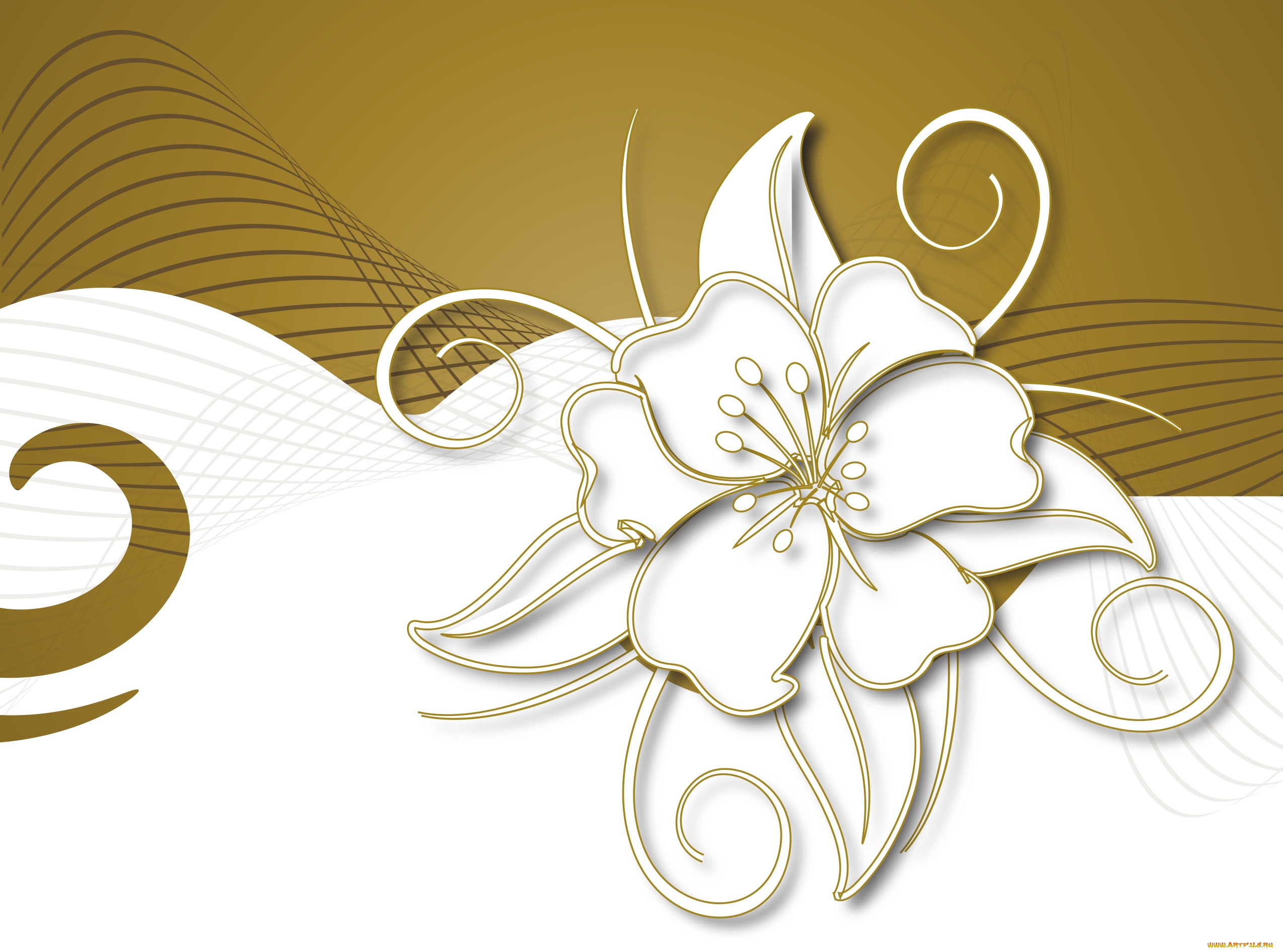 векторный, цветок, векторная, графика, цветы, , flowers, абстракция, рисунок, вектор, цветок