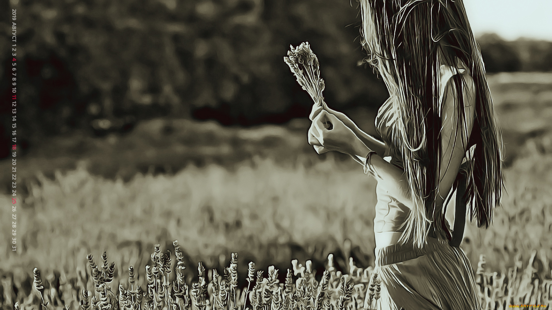 календари, компьютерный, дизайн, природа, профиль, женщина, calendar, 2019, растение, девушка