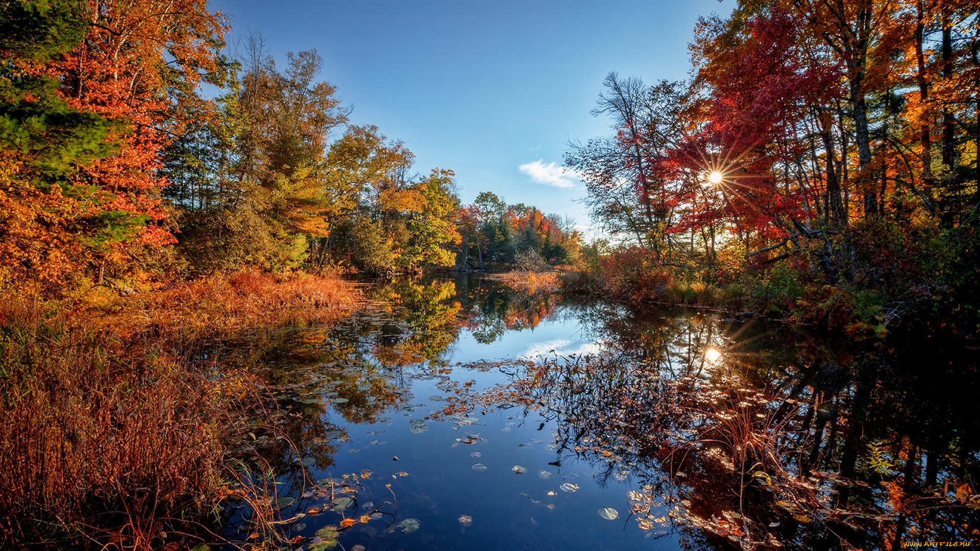 природа, реки, озера, простор