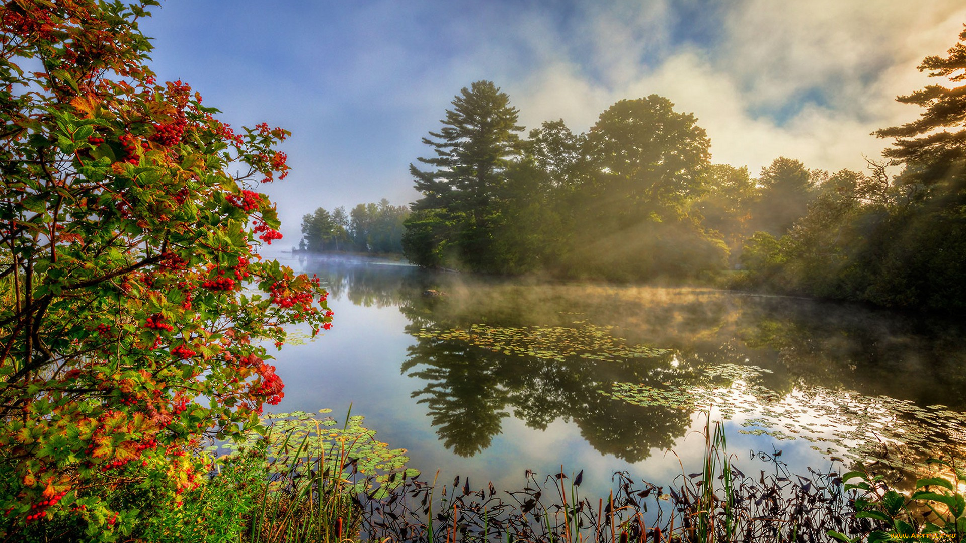 природа, реки, озера, простор