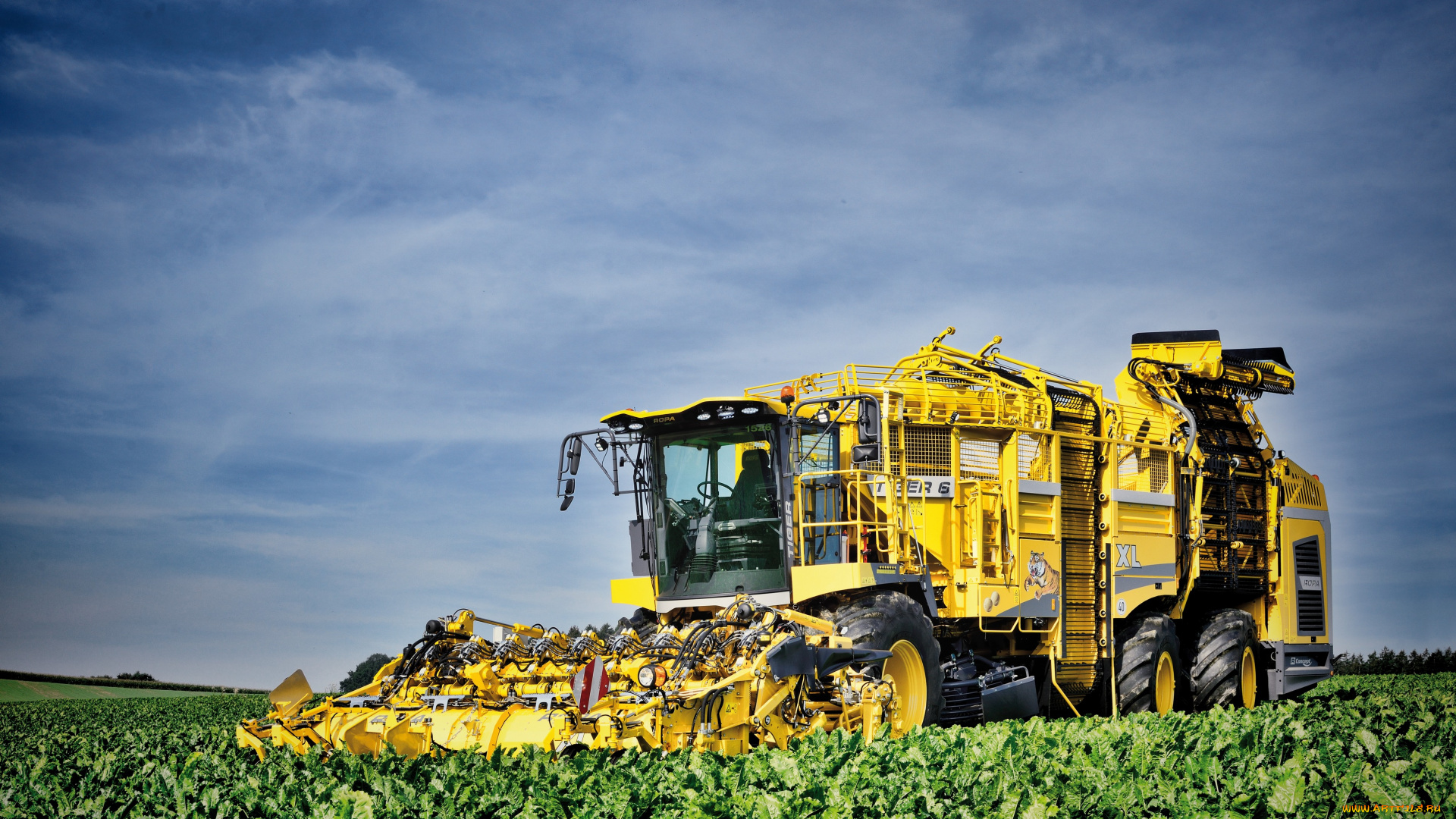 ropa, tiger, 6, xl, техника, комбайны, полевые, работы, уборка, урожая, комбайн