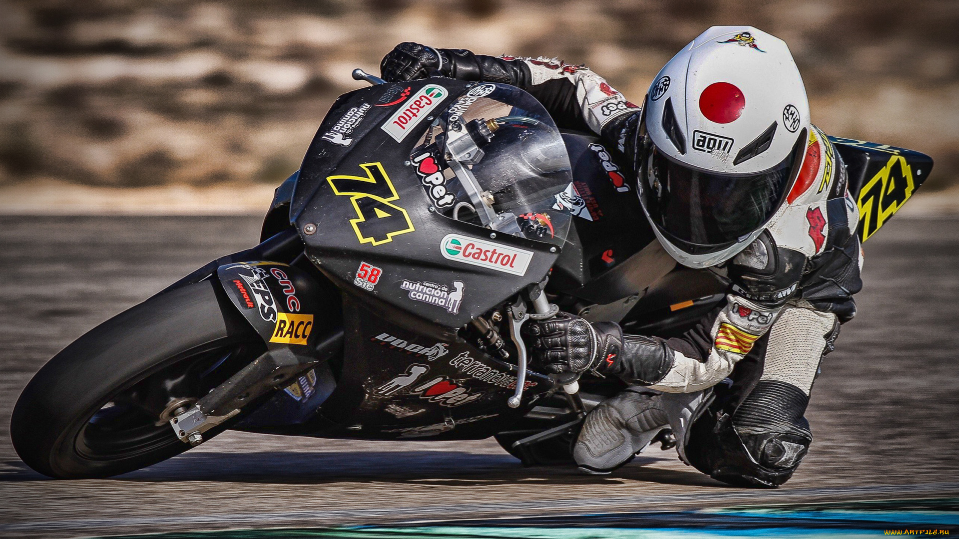 спорт, мотоспорт, японский, гонщик, спортивная, гонка, red, bull, motogp, rookies, cup, 2019, daijiro, sako