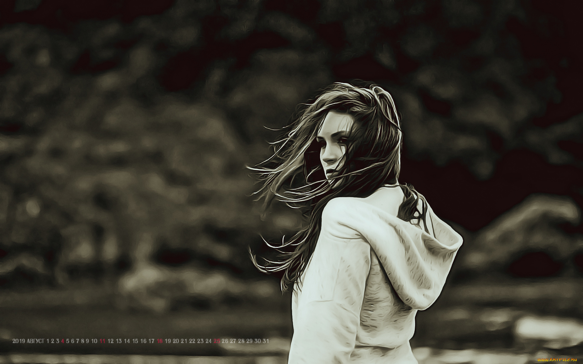 календари, компьютерный, дизайн, 2019, девушка, профиль, женщина, ветер, calendar