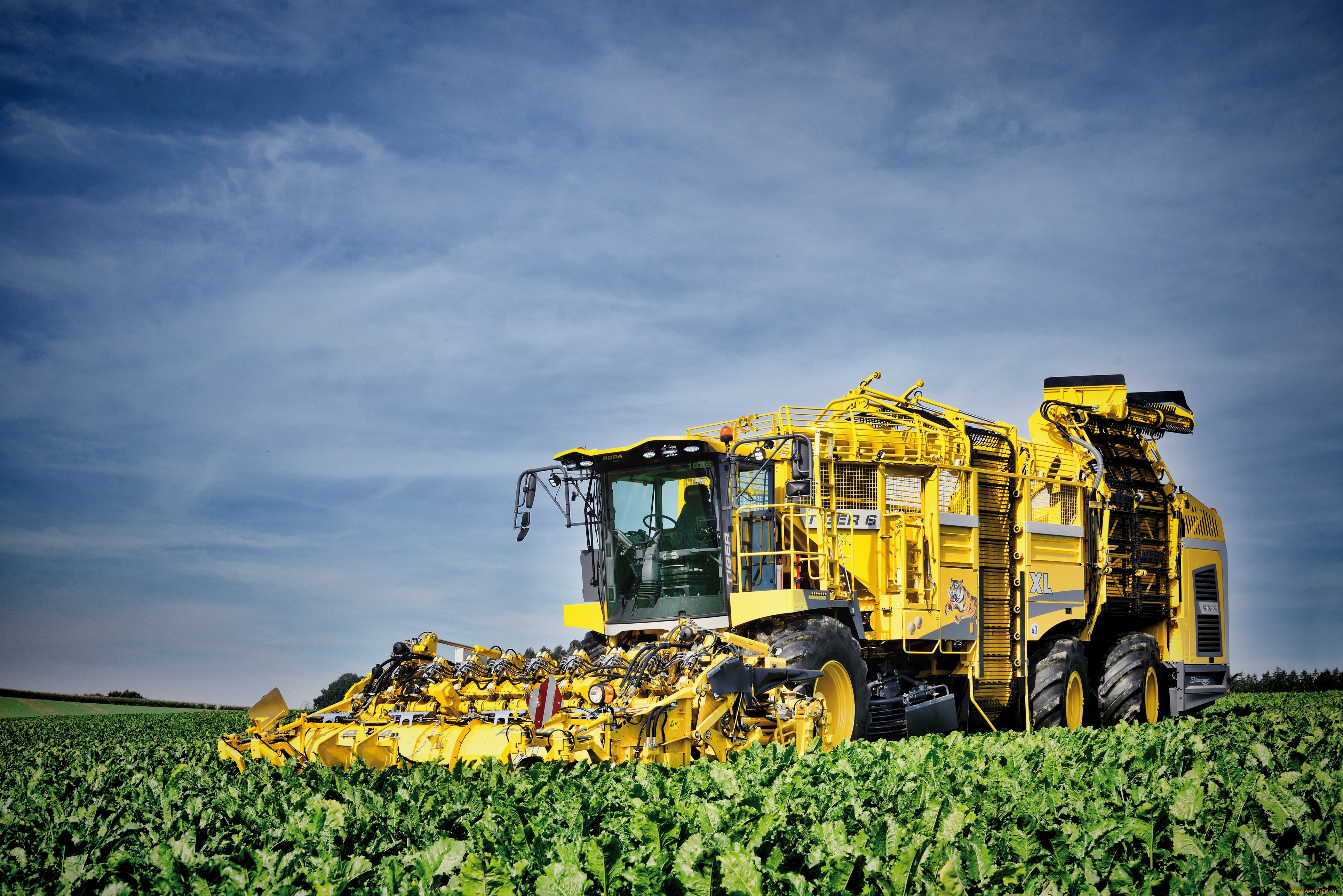 ropa, tiger, 6, xl, техника, комбайны, полевые, работы, уборка, урожая, комбайн