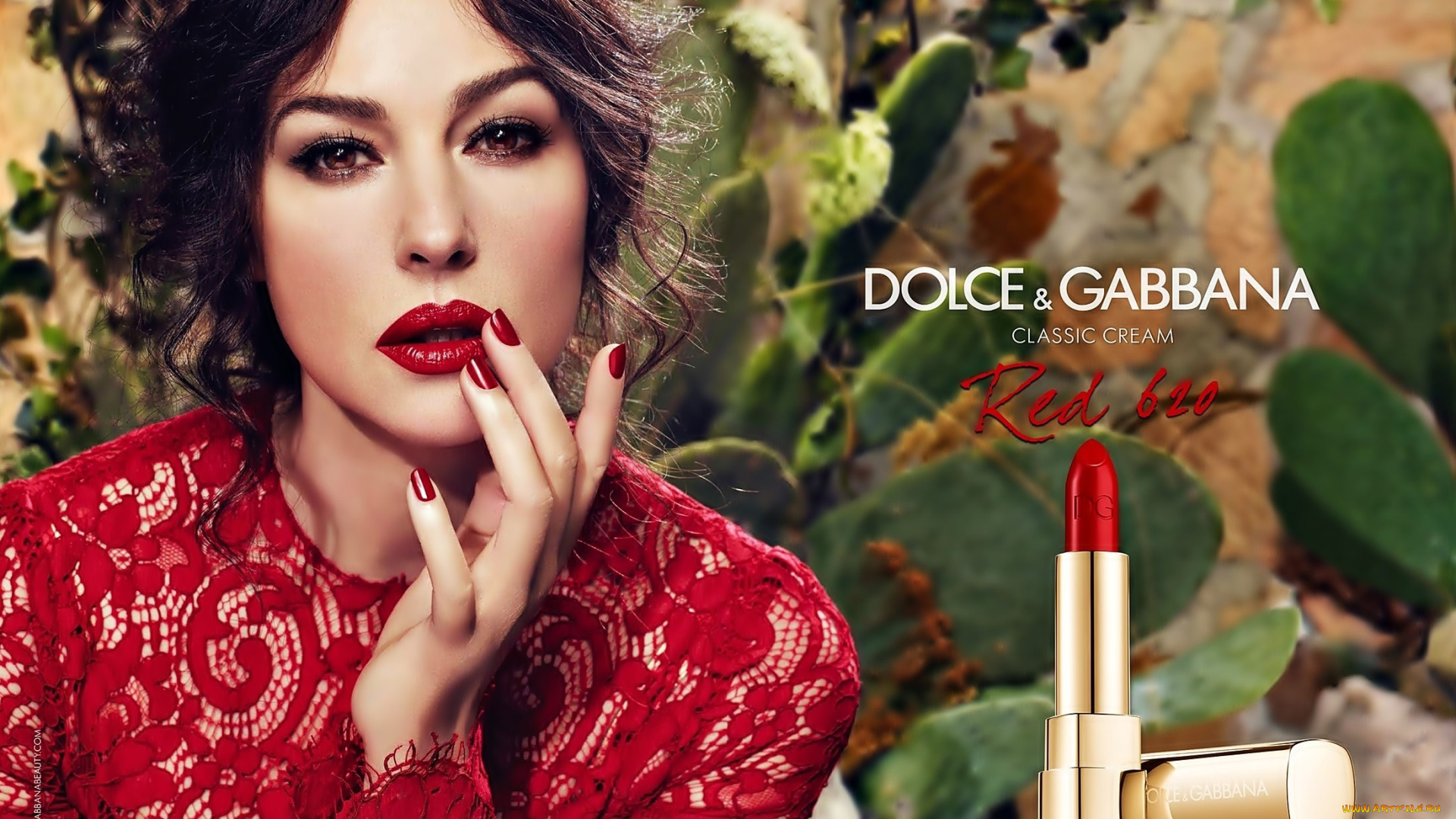 девушки, monica, bellucci, monica, bellucci, помада