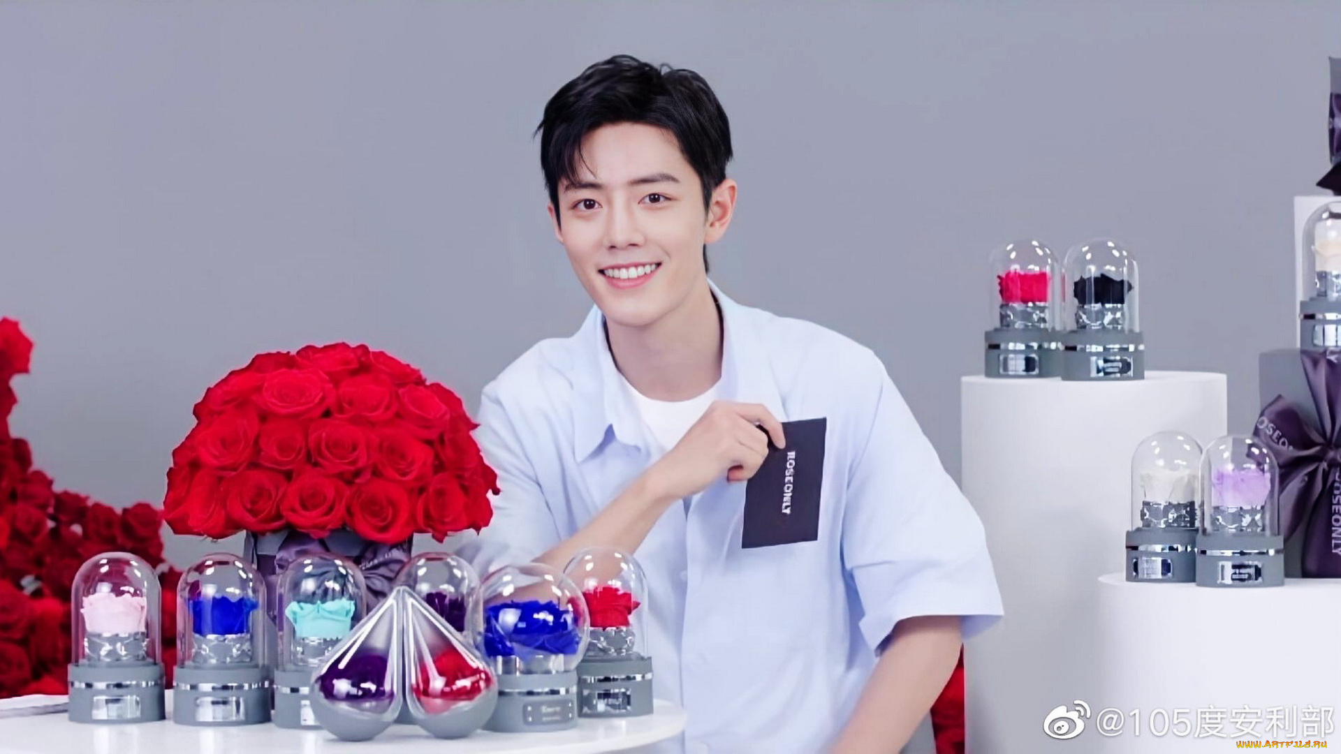 мужчины, xiao, zhan, актер, розы, колбы, презентация, карточка