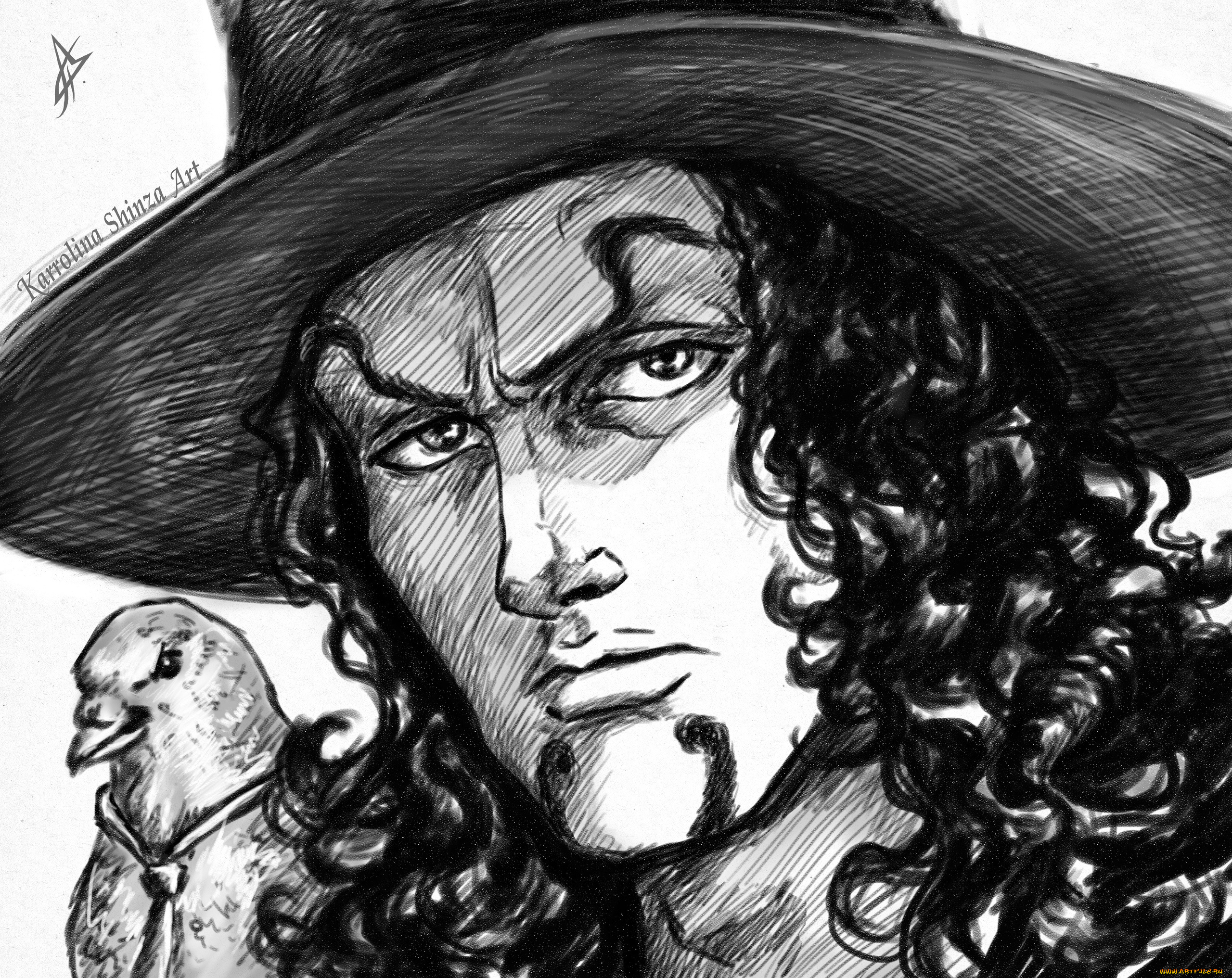 аниме, one, piece, лицо, шляпа, голубь