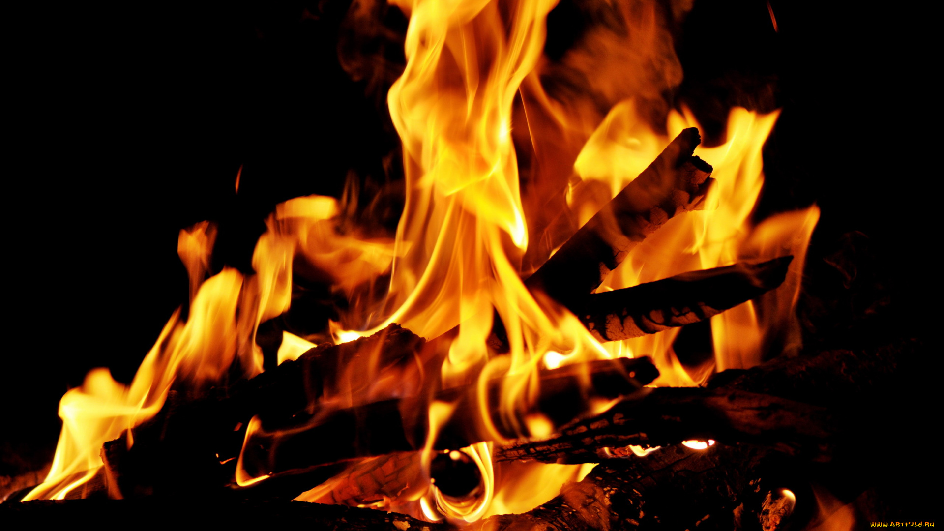 природа, огонь, пламя, костер