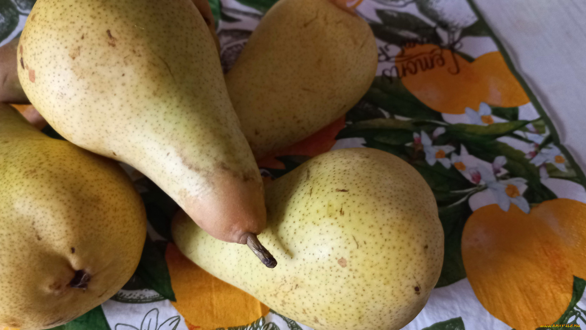 еда, груши, фрукты, макро