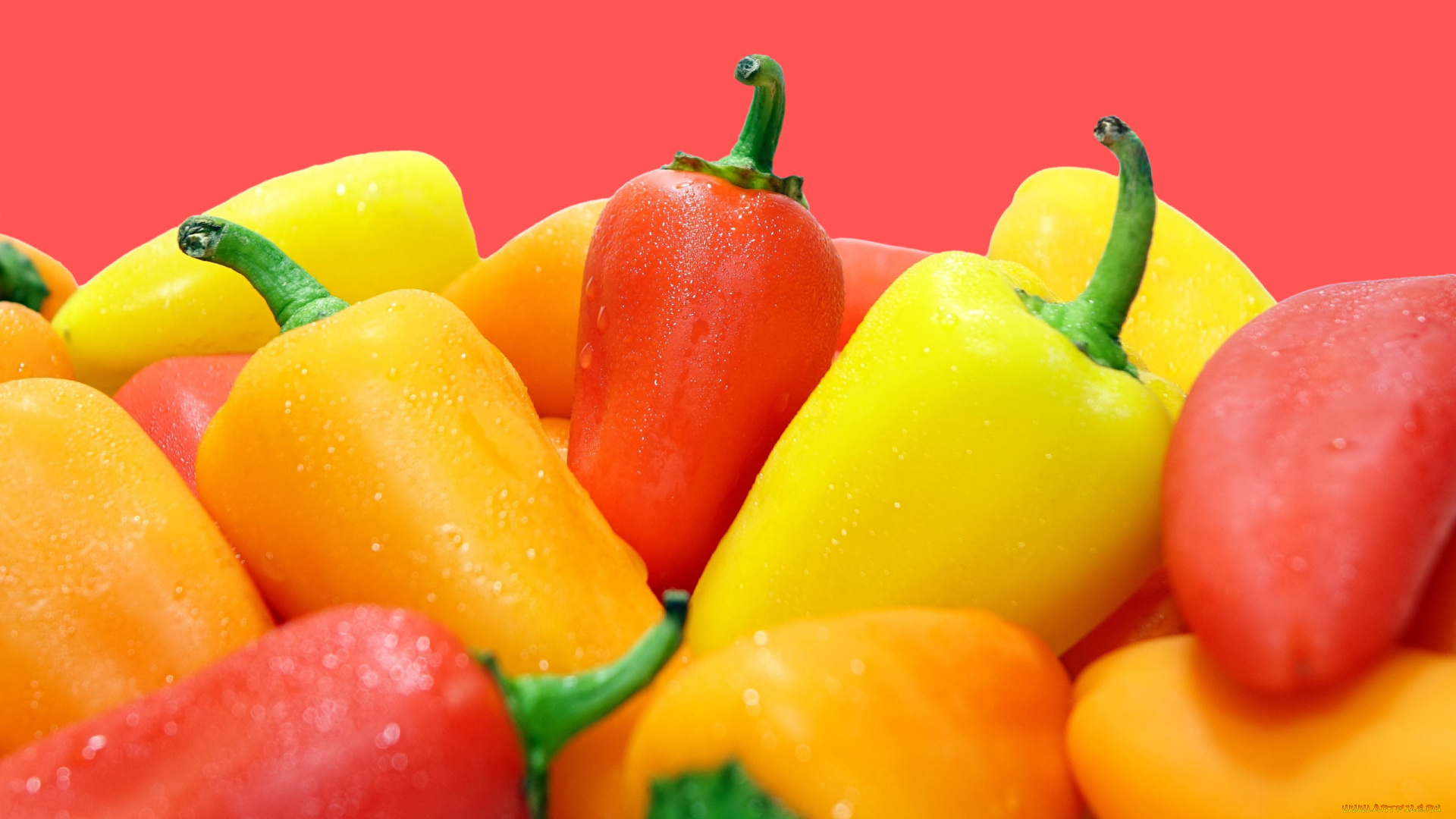 еда, перец, красный, желтый, капли