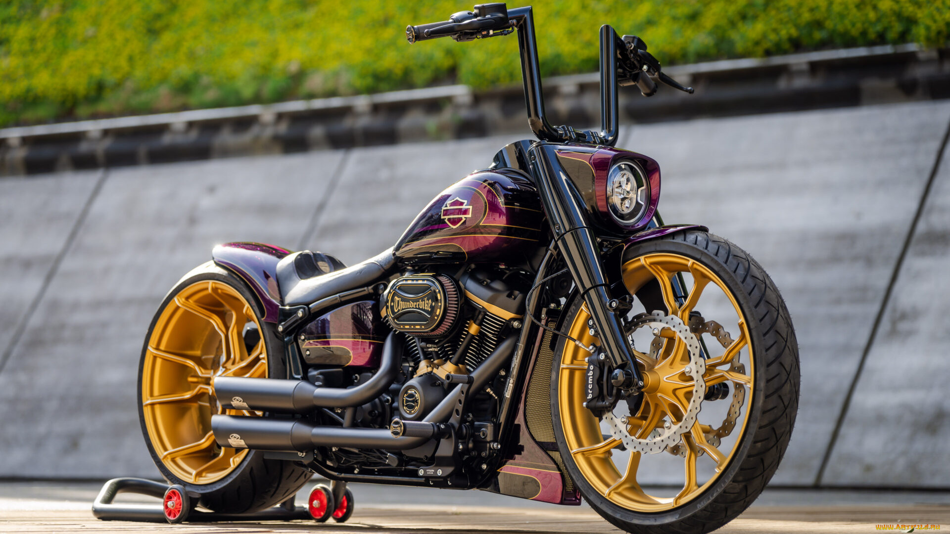 мотоциклы, harley-davidson, softail, fat, boy, 114, customized, custombikes, thanos